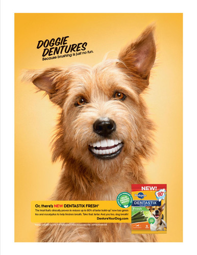 dog treats dentastix
