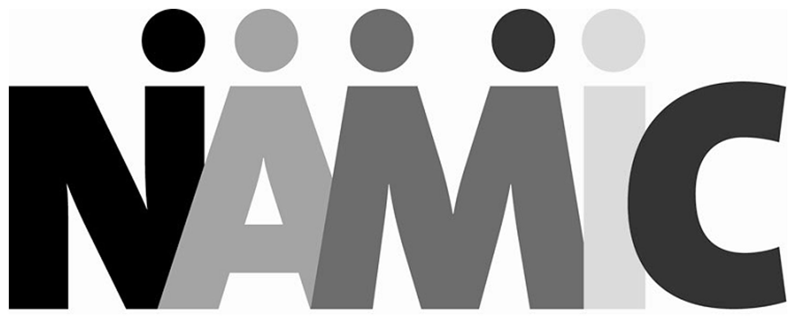 NAMIC logo. (PRNewsFoto/NAMIC) (PRNewsFoto/) (PRNewsFoto/)
