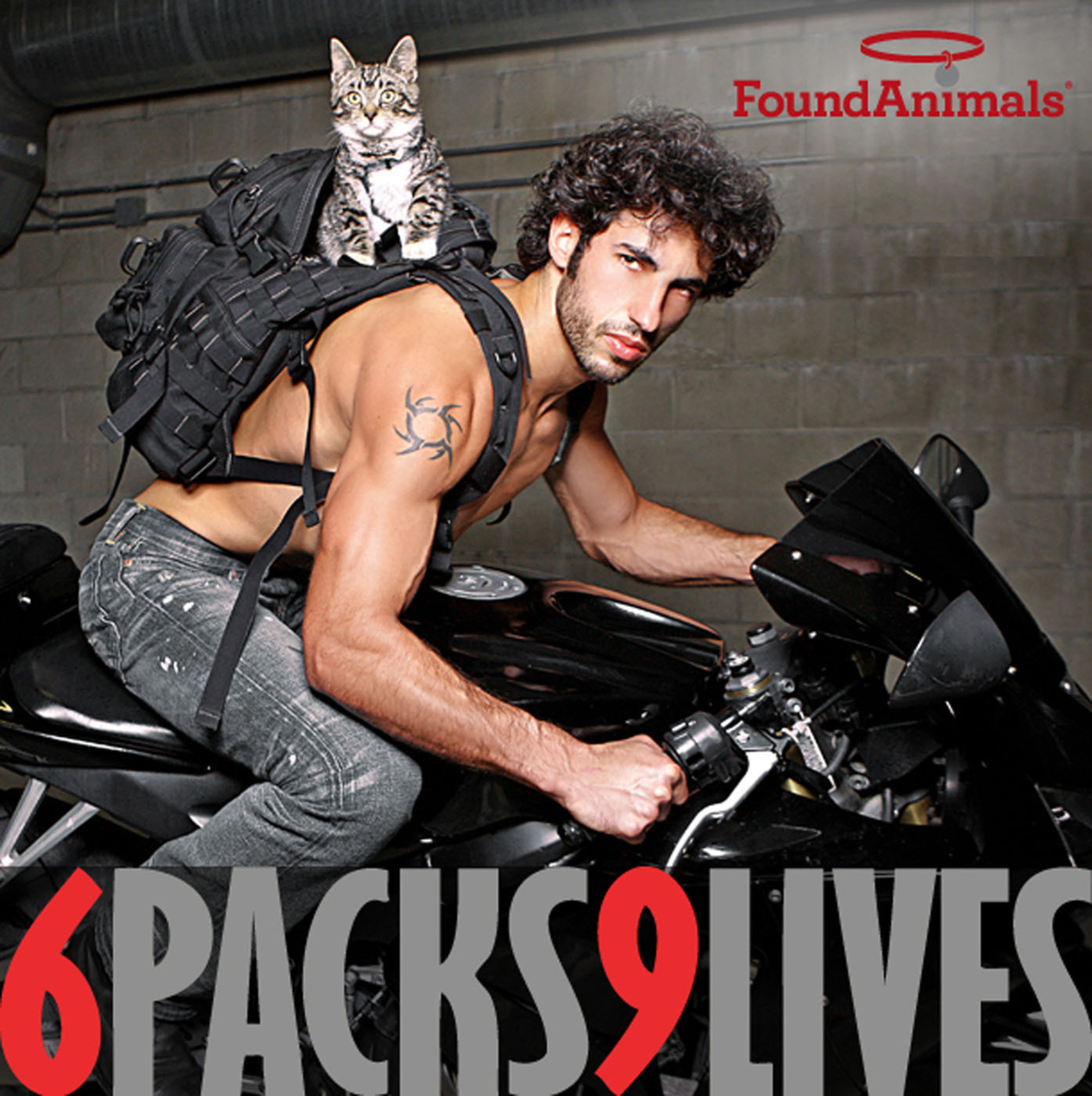 Kitsch for a Cause: Found Animals Launches Unconventional Calendar to  Promote Cat Adoption