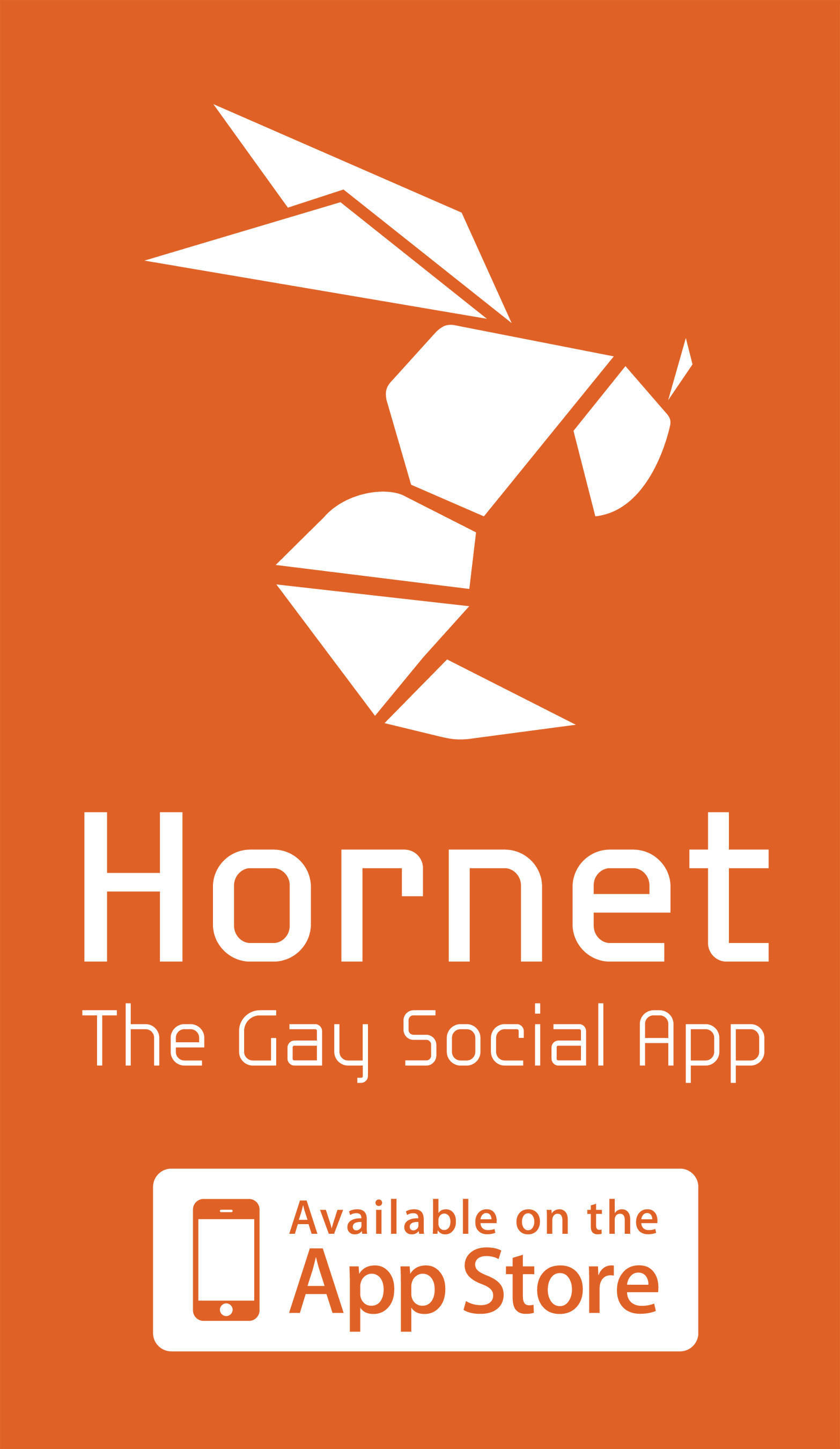 Gay split chat network