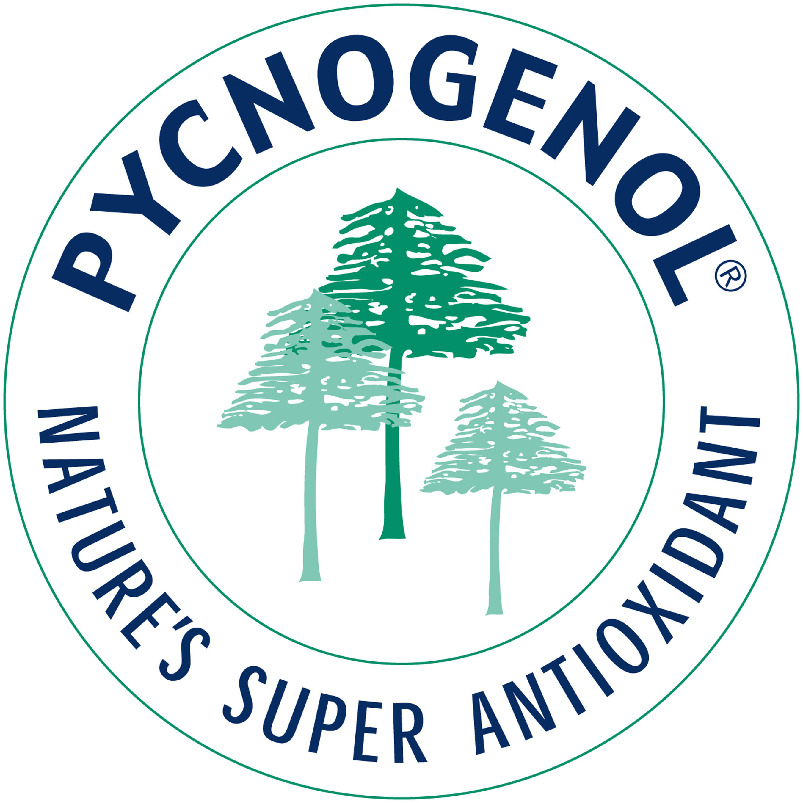Pycnogenol(R) is a natural plant extract originating from the bark of the maritime pine that grows along the coast of southwest France and is found to contain a unique combination of procyanidins, bioflavonoids and organic acids, which offer extensive natural health benefits. (PRNewsFoto/Horphag Research (USA) Inc.) (PRNewsFoto/)