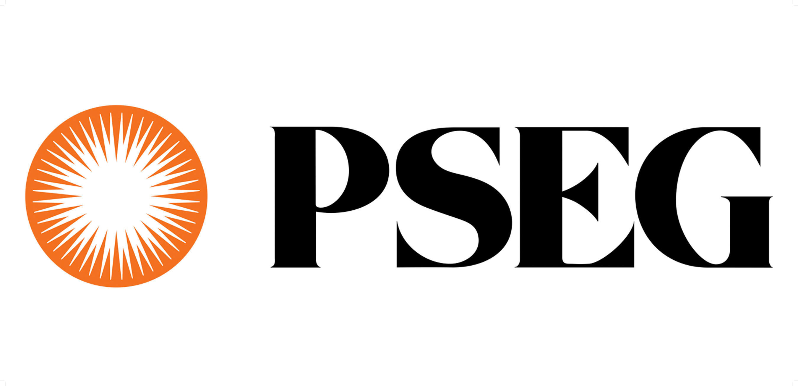 Public Service Enterprise Group (PSEG) is a publicly traded diversified energy company. Its operating subsidiaries are: PSEG Power, Public Service Electric and Gas Company (PSE&G) and PSEG Long Island. (PRNewsFoto/PUBLIC SERVICE ENTERPRISE GROUP)