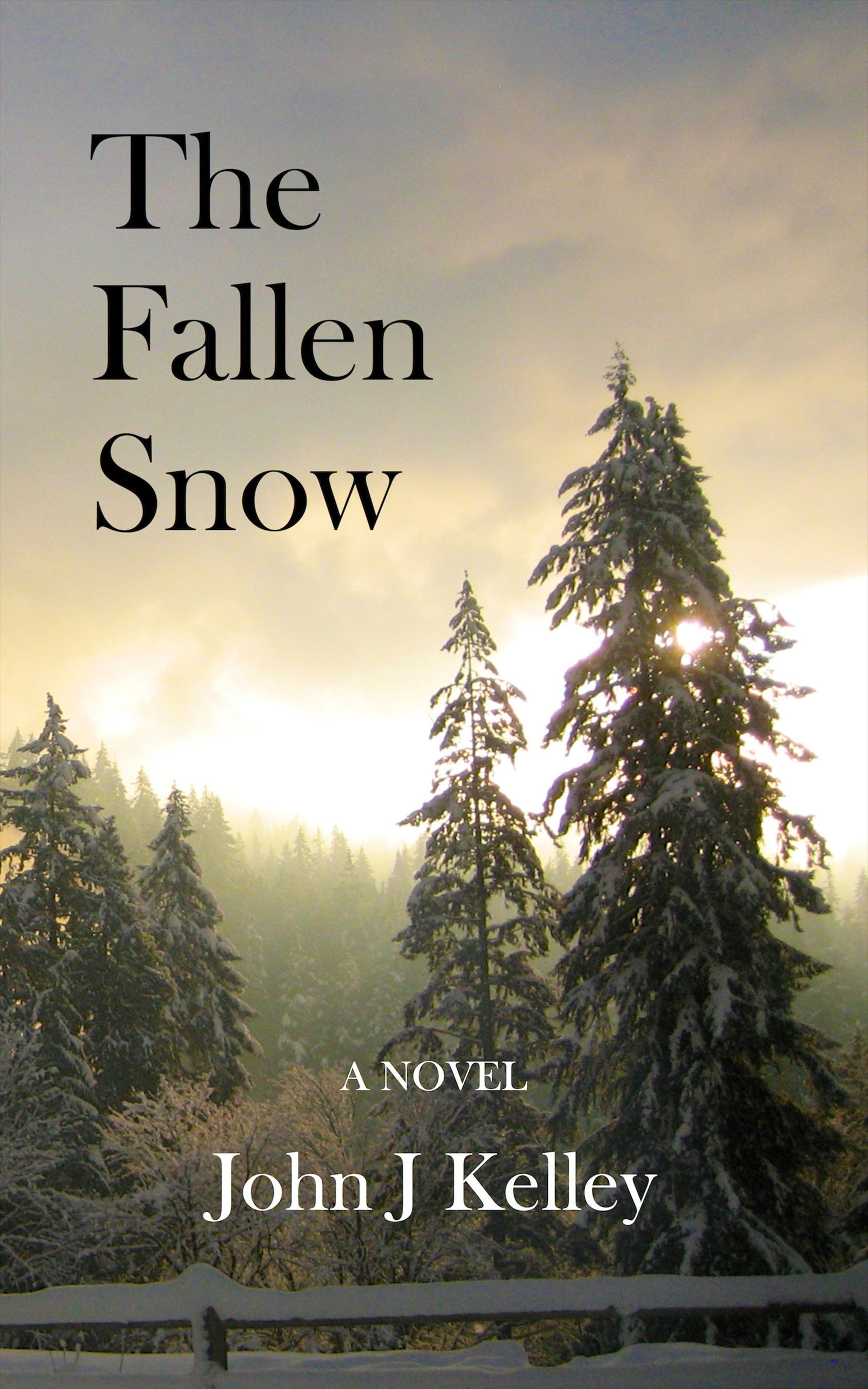 The Fallen Snow, by DC author John J Kelley, explores the difficult return of a young soldier to rural Virginia at the close of World War I. The novel is available in paperback and Kindle editions at Amazon.com. (PRNewsFoto/Stone Cabin Press) (PRNewsFoto/STONE CABIN PRESS)