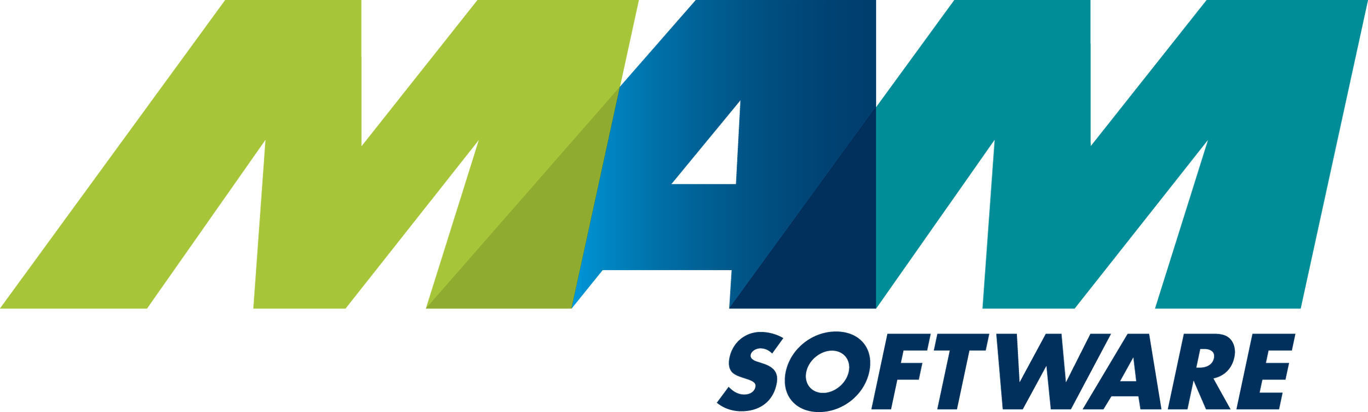 MAM Software Group, Inc. logo.