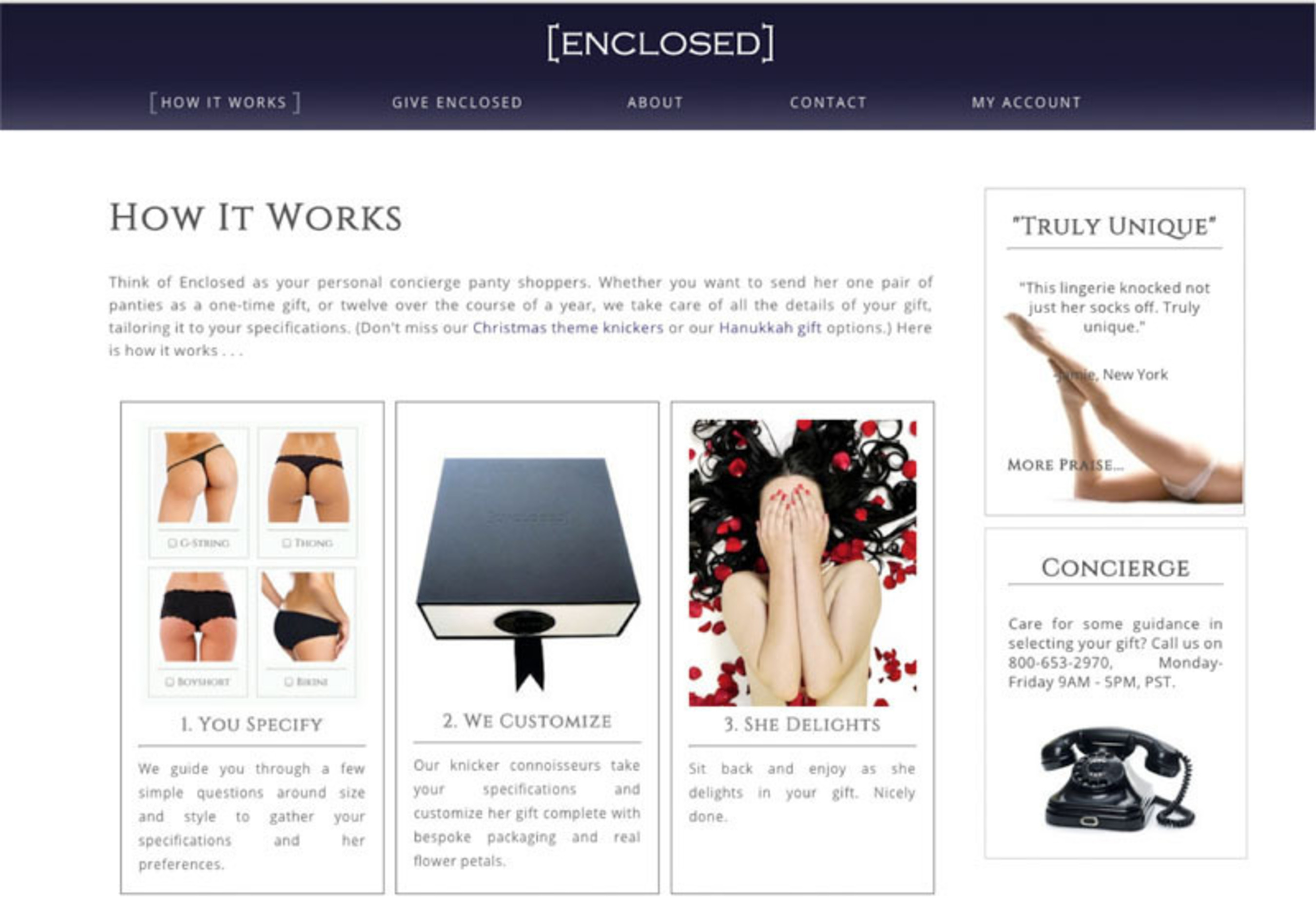 Enclosed's Upscale Panty Subscription Club - image 2. (PRNewsFoto/Enclosed) (PRNewsFoto/ENCLOSED)