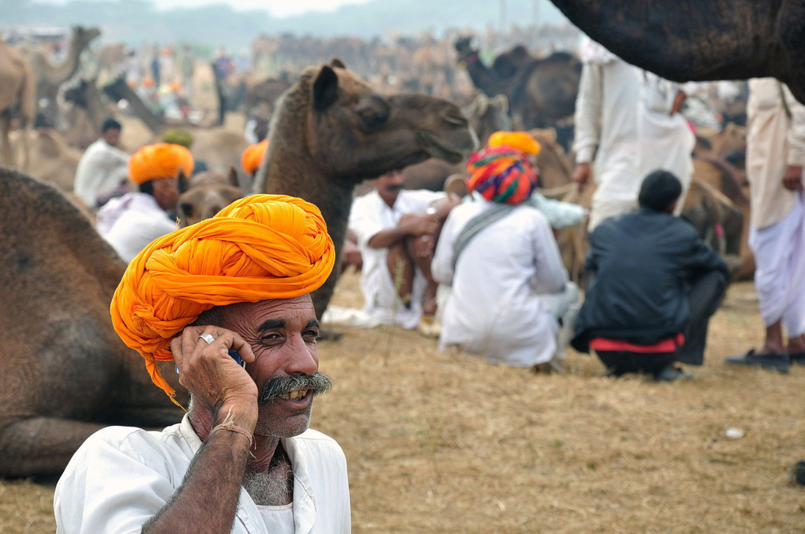 A camel trader in India, by Rabin Chakrabarti. (PRNewsFoto/CGAP) (PRNewsFoto/CGAP)
