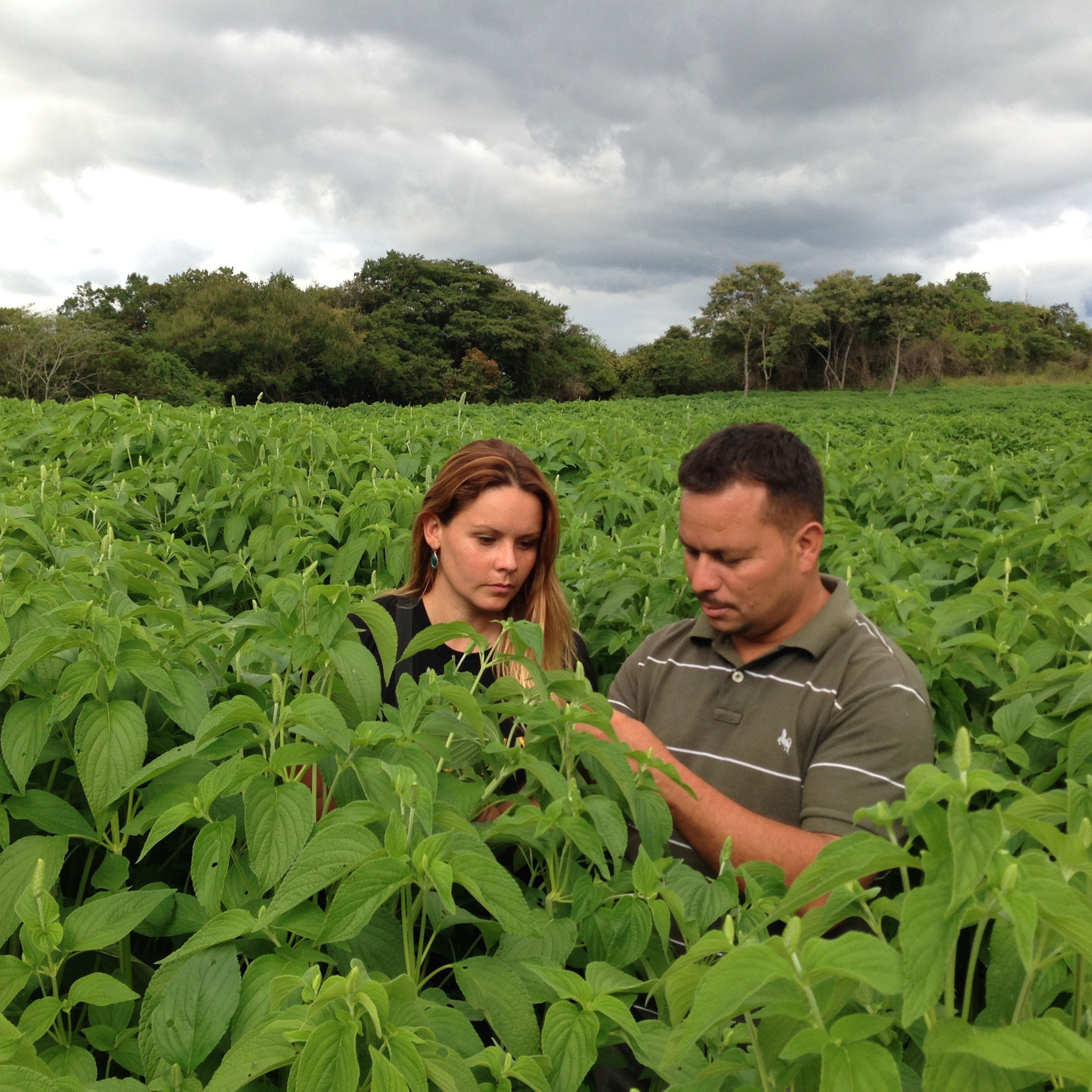 Clartia Butman of Mayorga Coffee with Donald Osorio, an agronomist who is providing technical assistance to the cooperative in Chia. (PRNewsFoto/Mayorga Coffee) (PRNewsFoto/MAYORGA COFFEE)