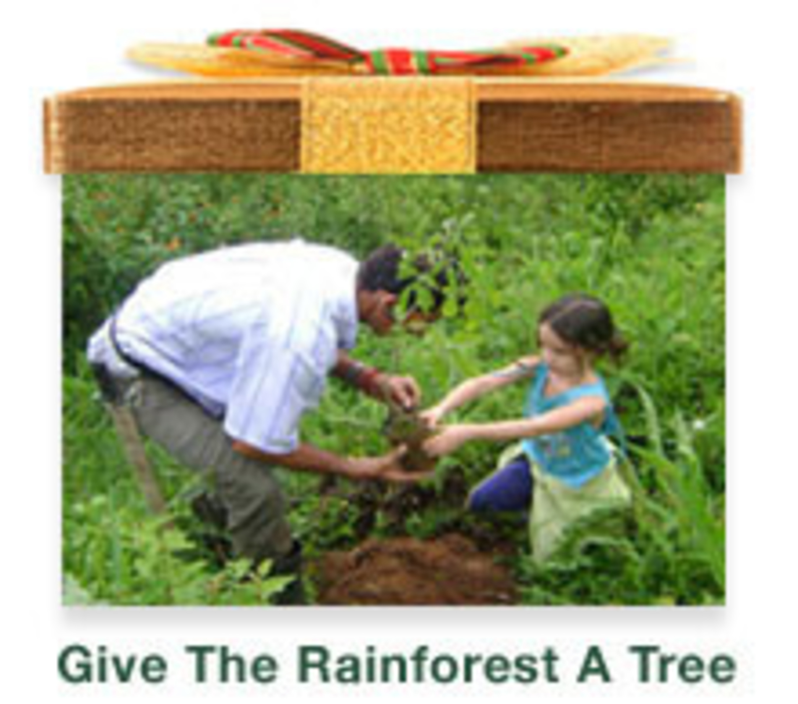 Give The Rainforest A Tree. (PRNewsFoto/iGiveTrees) (PRNewsFoto/IGIVETREES)