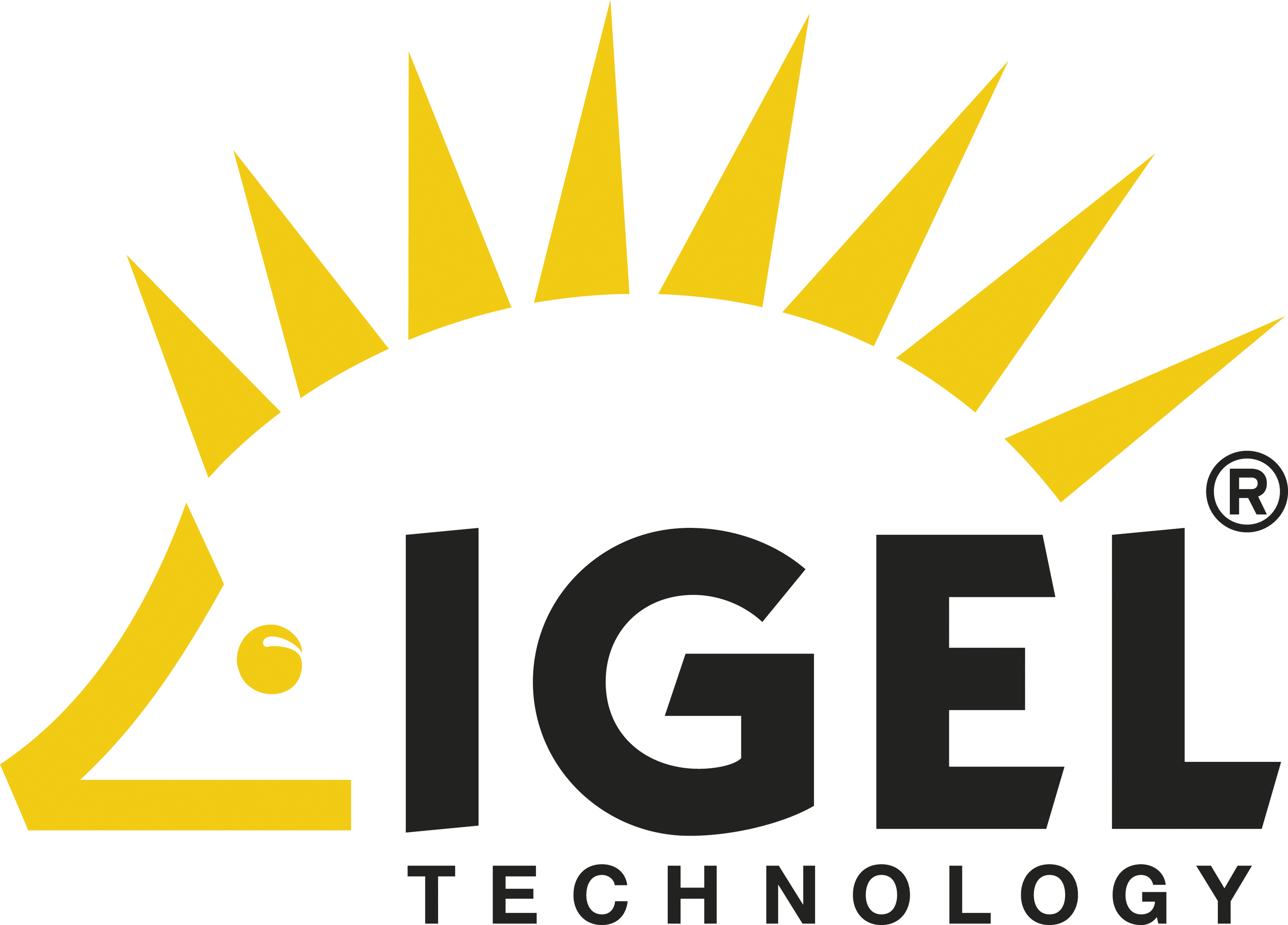 IGEL Technology logo (PRNewsFoto/IGEL Technology)