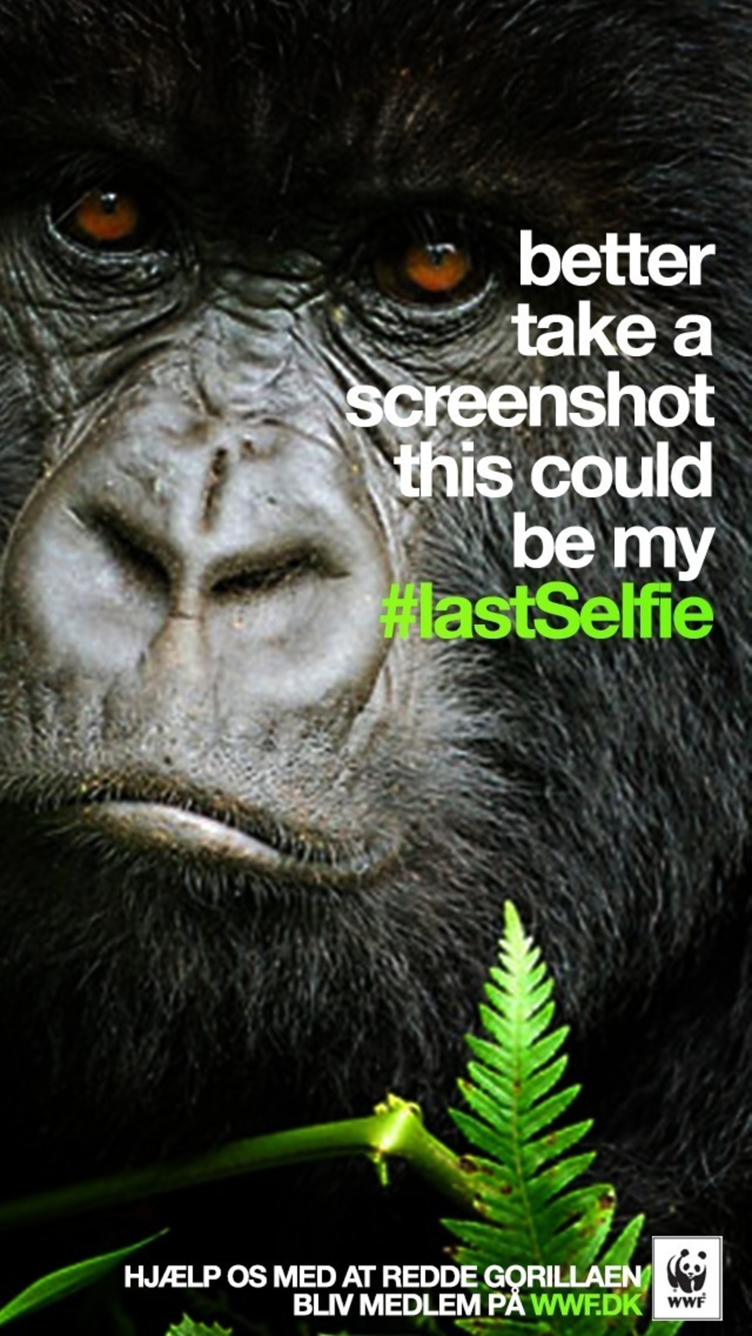 Gorilla #LastSelfie (PRNewsFoto/Grey)