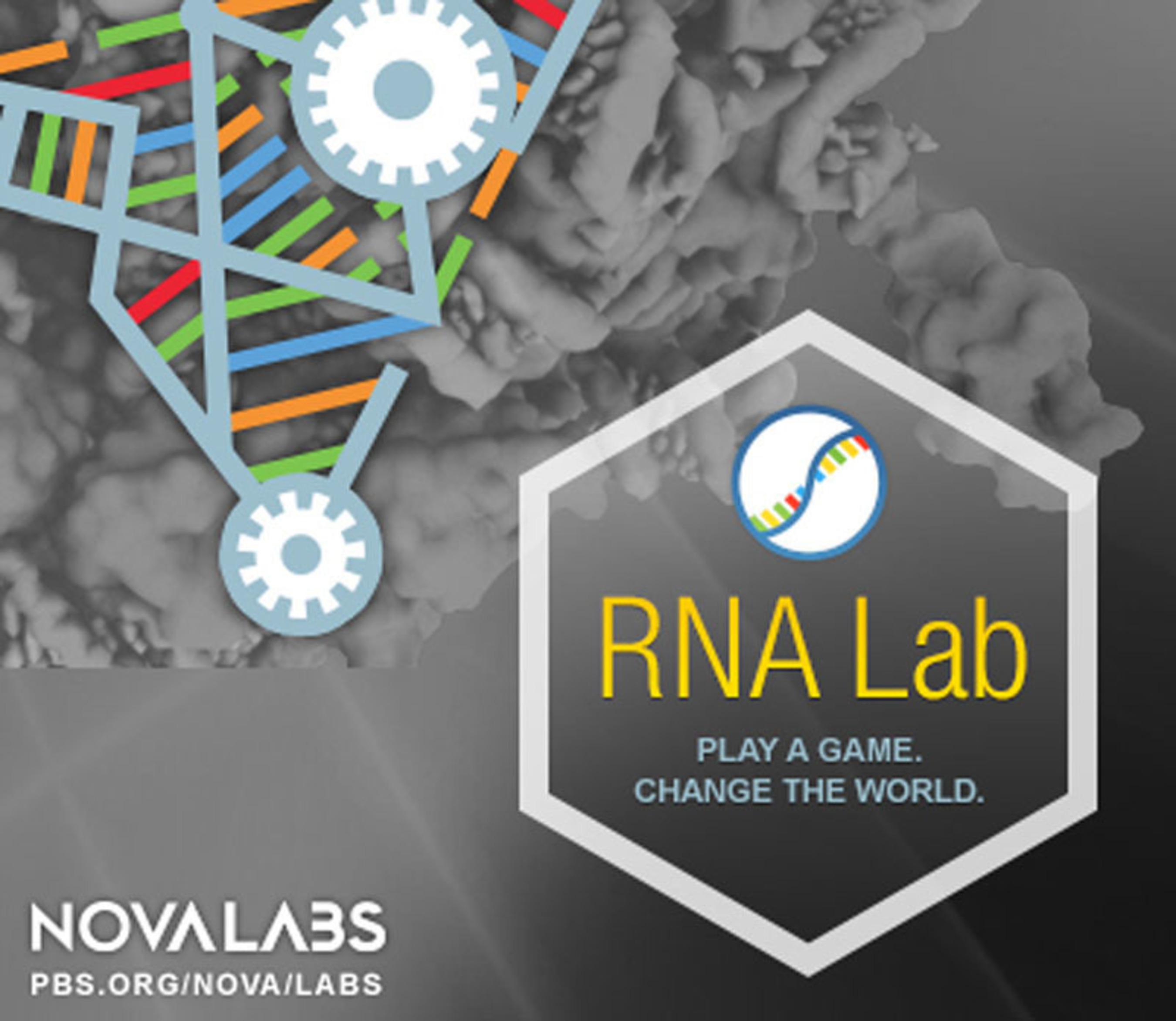 In NOVA's RNA Lab, citizen scientists learn how they can advance biomedical research just by playing a game. (PRNewsFoto/NOVA Labs; WGBH Boston)