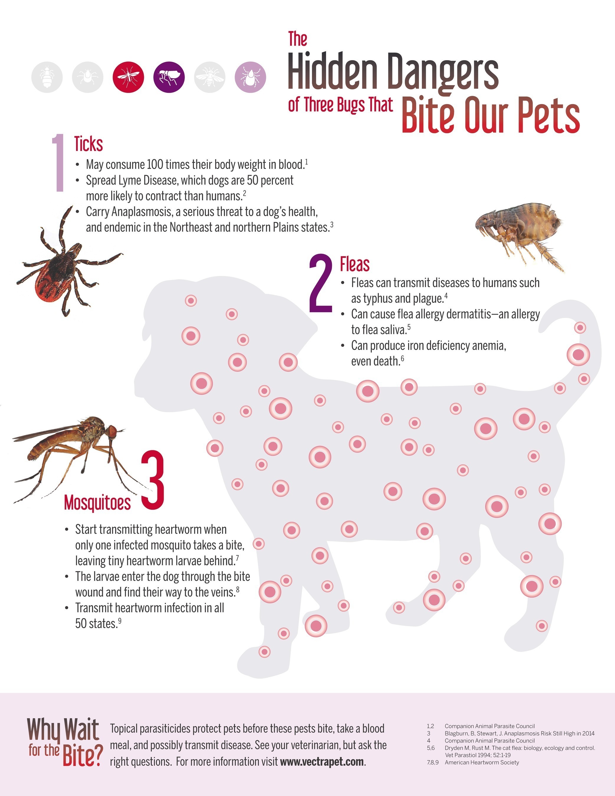 Why Wait for the Bite is a campaign to educate pet parents about the dangers of bug bites and how to protect their pets. A new survey shows by a nearly 9-1 margin, dog owners prefer topical medications squeezed from a tube to protect their pet before the bug bites vs. beef-flavored oral treats that only kill fleas and ticks after these pests bite and feed on the blood of their dogs. See your veterinarian and learn more about how to protect your pet at  www.vectrapet.com . (PRNewsFoto/Ceva Animal Health) (PRNewsFoto/Ceva Animal Health)