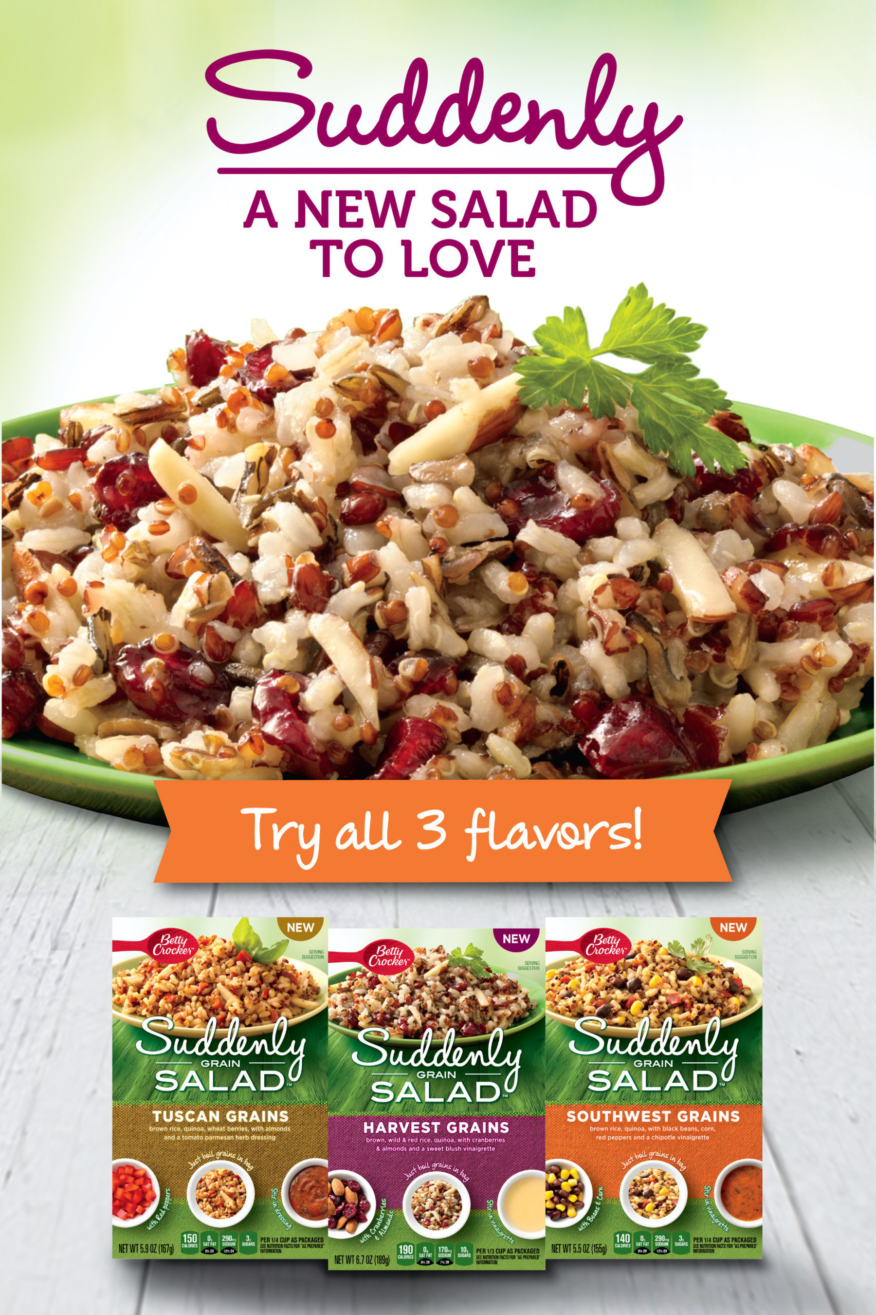 New Suddenly Grain Salad™ mixes hit the grain aisle with a completely new take on grains in a salad. Now consumers can get more whole grains into their everyday diets. Suddenly Grain Salad mixes are a wholesome blend of grains such as brown rice, wild rice, wheat berries and quinoa, paired with flavorful herbs and spices in a boil-in-bag format for convenient prep. Dried fruit, vegetables and/or nut mix-ins along with a zesty-flavored dressing packet are included to create a blend of bold flavors and textures. (PRNewsFoto/Betty Crocker)