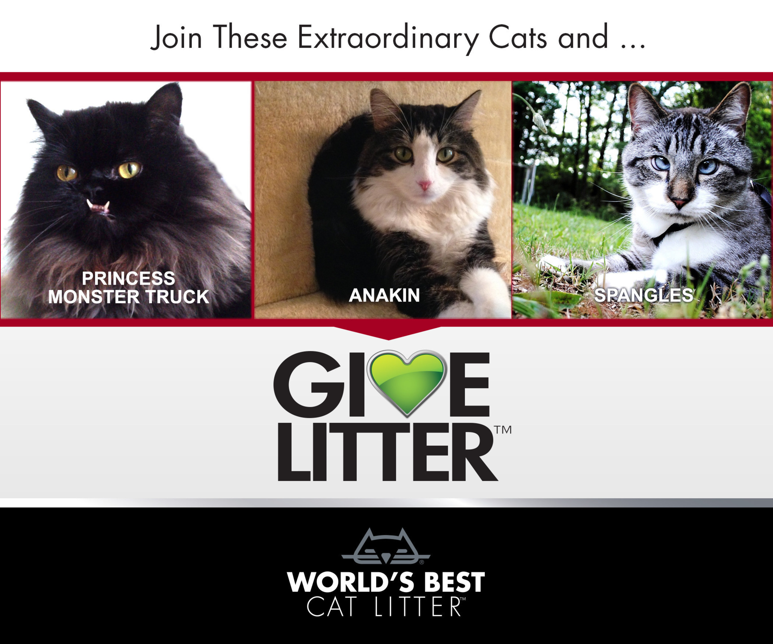 World’s Best Cat Litter(TM) has partnered with three extraordinary cats to help them do extraordinary things for shelter cats during the latest round of the GiveLitter(TM) charity, which allows online cat lovers to donate 30,000 pounds of litter to shelter cats in need. Famous cats Spangles, Princess Monster Truck and Anakin, rescue cats who all overcame their own unique challenges to capture the hearts of thousands online, have now teamed up to help raise litter donations for their favorite shelters. GiveLitter(TM) launches today, and has unlimited voting will run until Friday, July 25. Visit www.worldsbestcatlitter.com/givelitter to cast your vote. (PRNewsFoto/World's Best Cat Litter)
