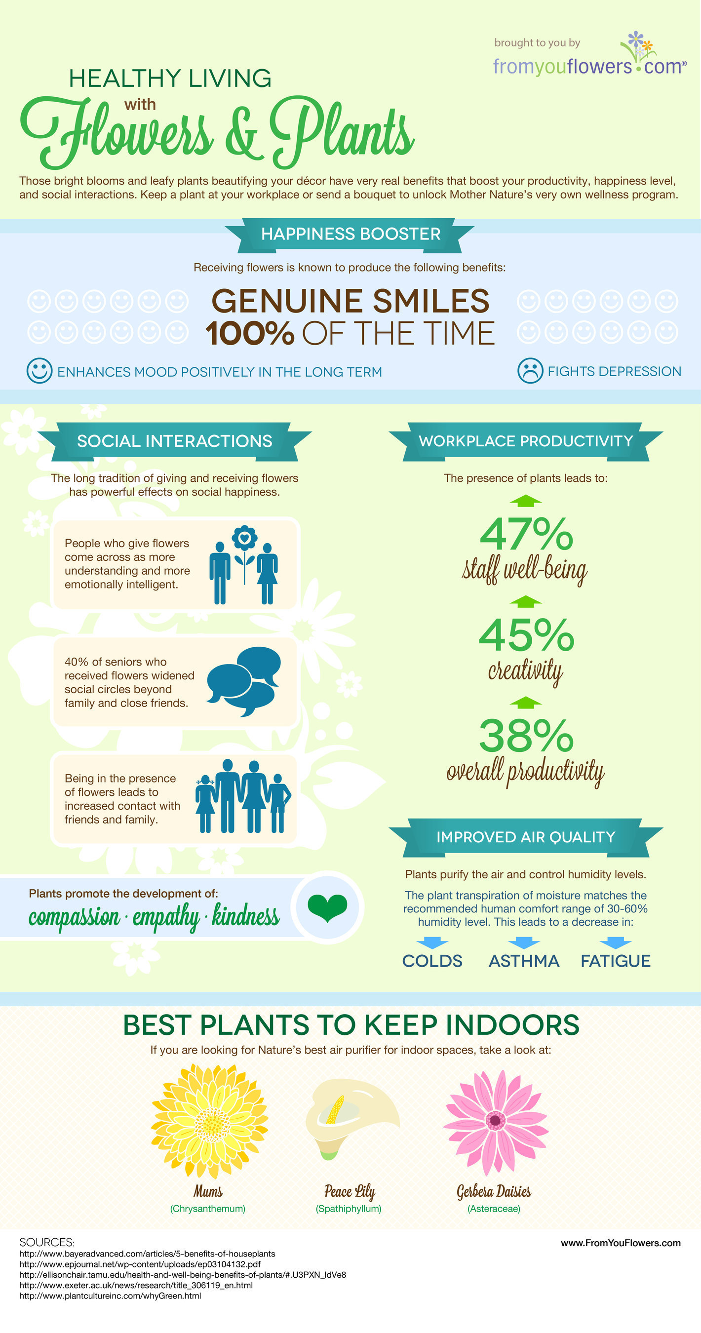 From You Flowers Publishes Summer 2014 Healthy Living with Flowers & Plants Infographic. (PRNewsFoto/FromYouFlowers.com)