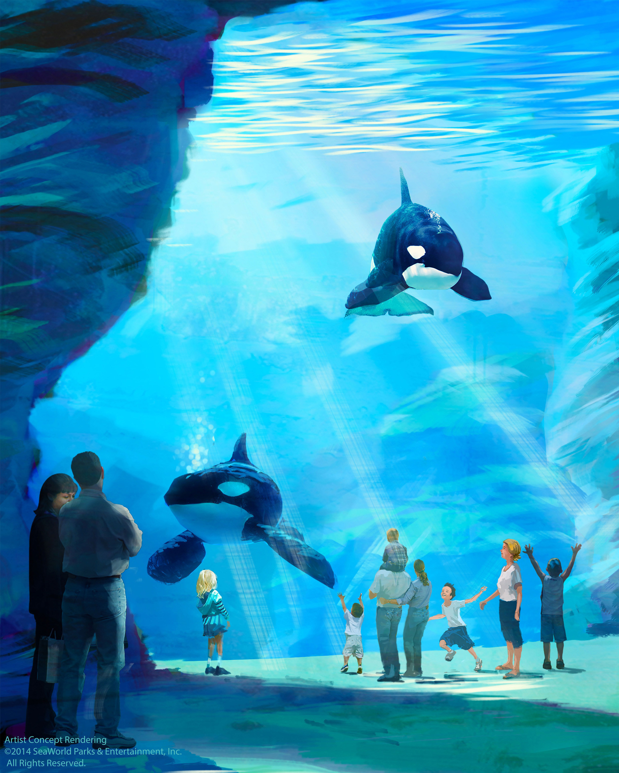 SeaWorld's new killer whale environment will feature an underwater viewing gallery that is 40 feet high. Depth of the new habitat will be 50 feet. (PRNewsFoto/SeaWorld Entertainment, Inc.)