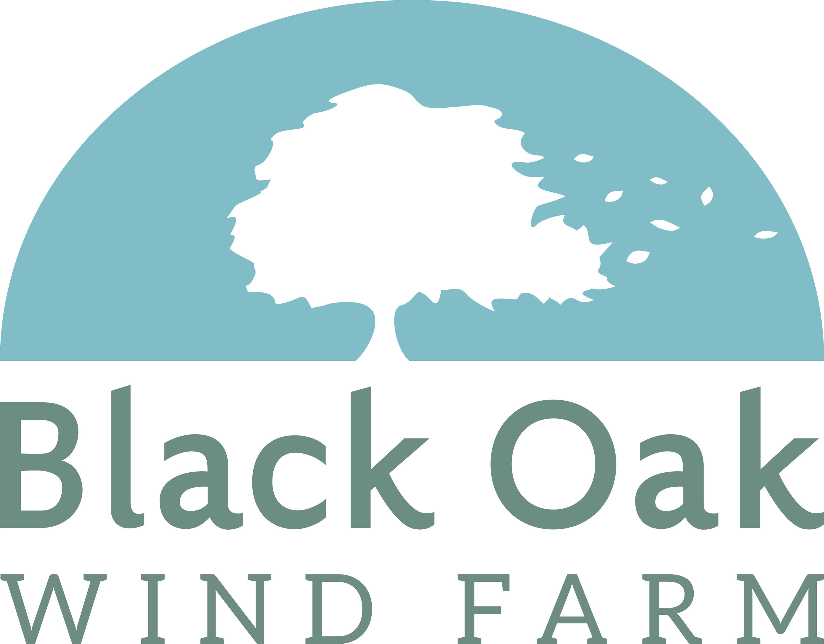 For more information on Black Oak Wind Farm, LLC visit www.blackoakwindny.com (PRNewsFoto/Black Oak Wind Farm, LLC)