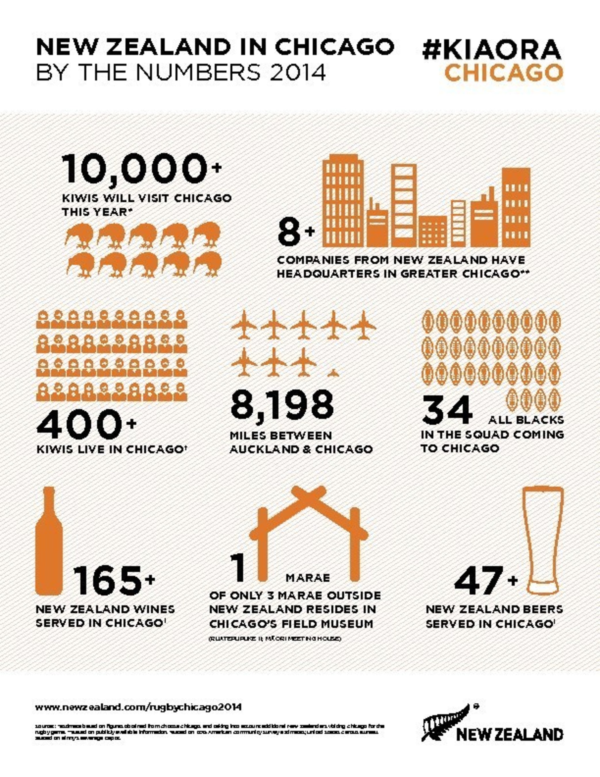 New Zealand in Chicago By The Numbers 2014