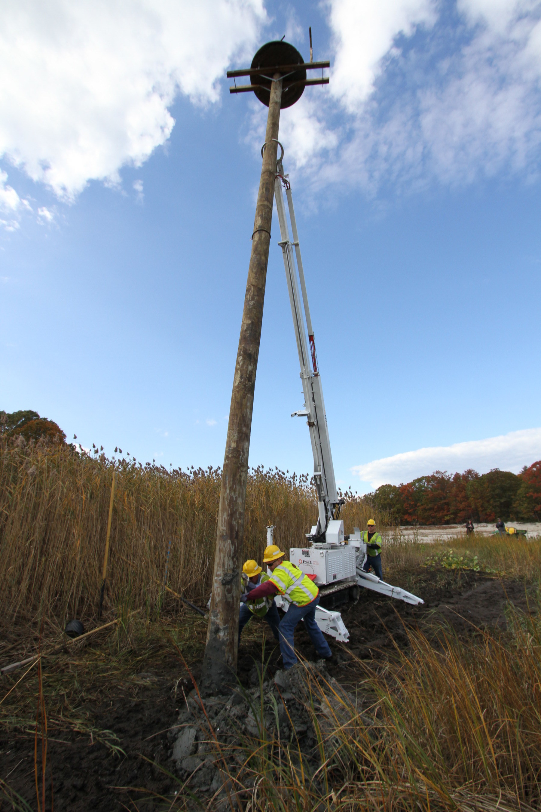 PSEG Long Island replaces a damaged osprey pole and platform in Nissequogue River State Park, Kings Park, NY. The new structure will provide a safe nesting area for the osprey away from vital electrical infrastructure, helping PSEG Long Island maintain strong electric service reliability.