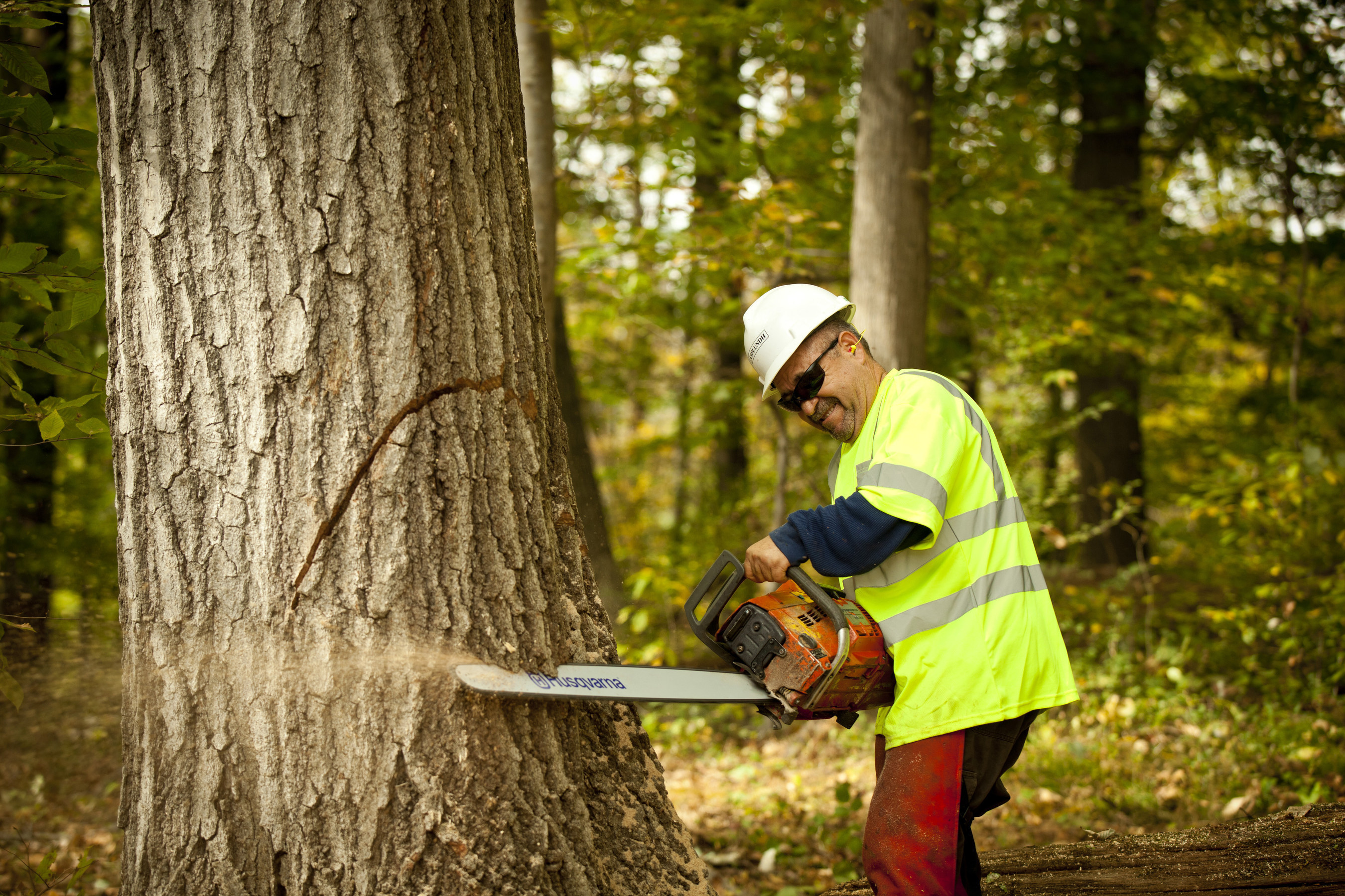 Husqvarna has been named the exclusive chainsaw provider for Asplundh. During this three-year deal, Husqvarna will be the sole provider of  professional chainsaws and accessories for the tree service leader's operations in the U.S., Canada, New Zealand and Australia.