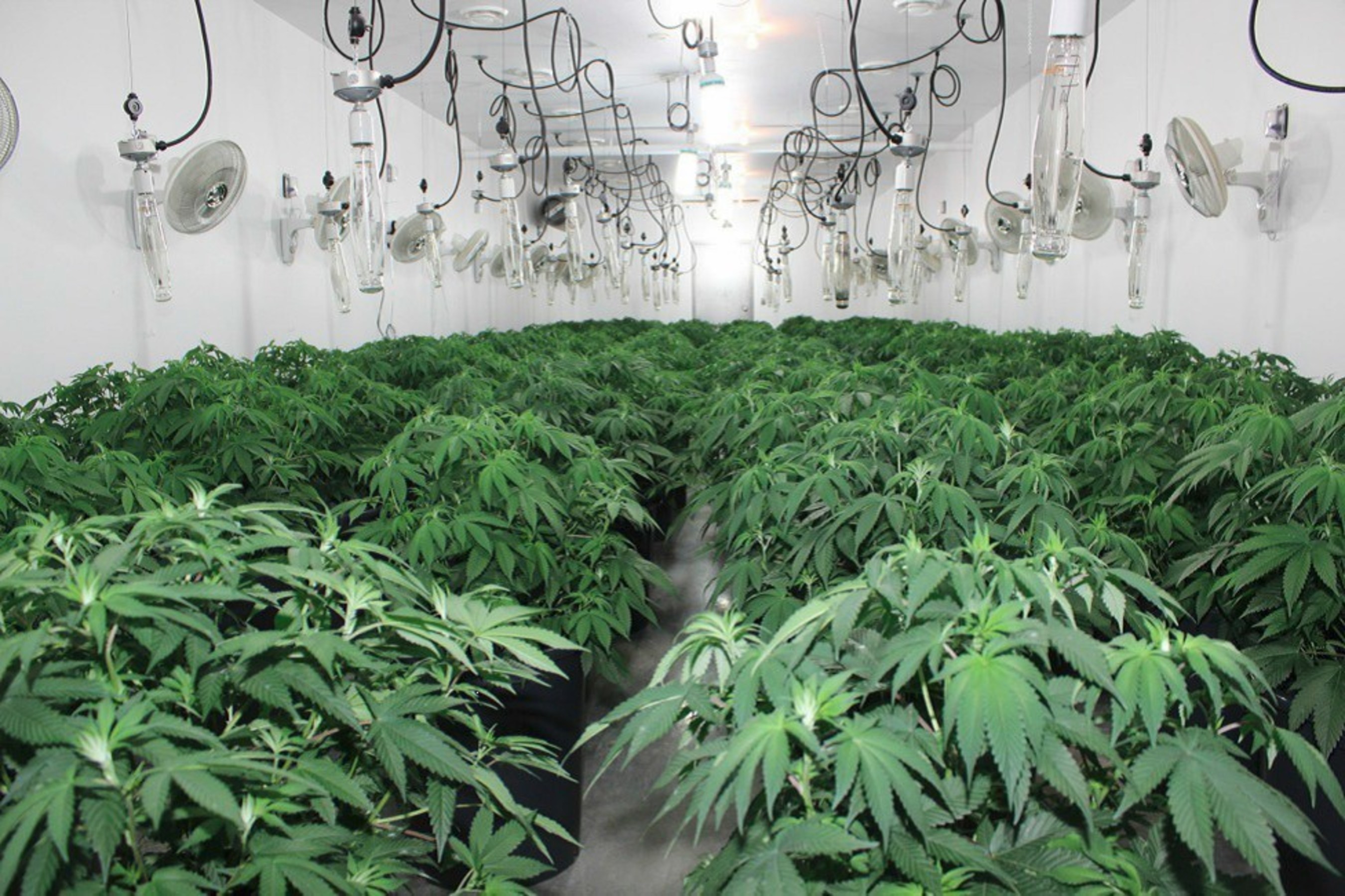 This is one of several growing rooms located in the facility.