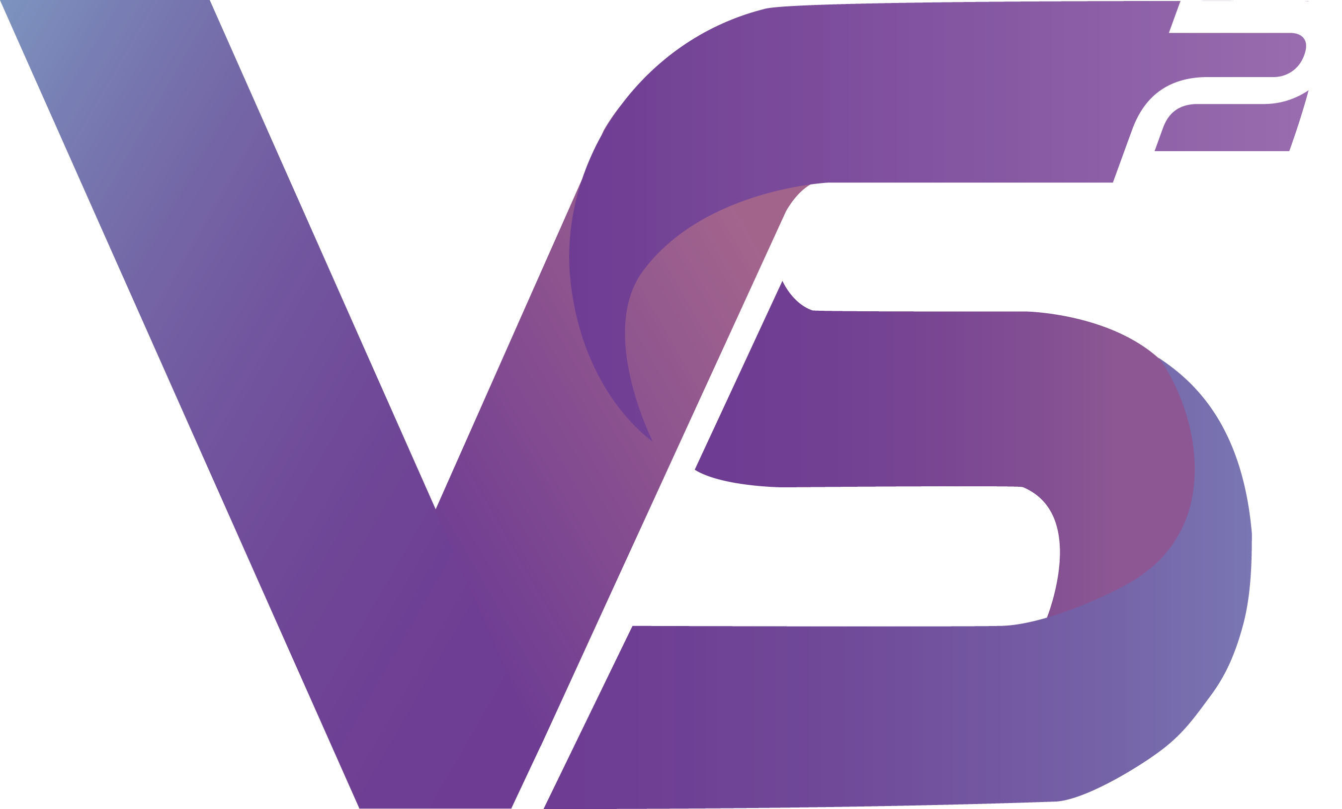 Virtual Software Systems, Inc. logo
