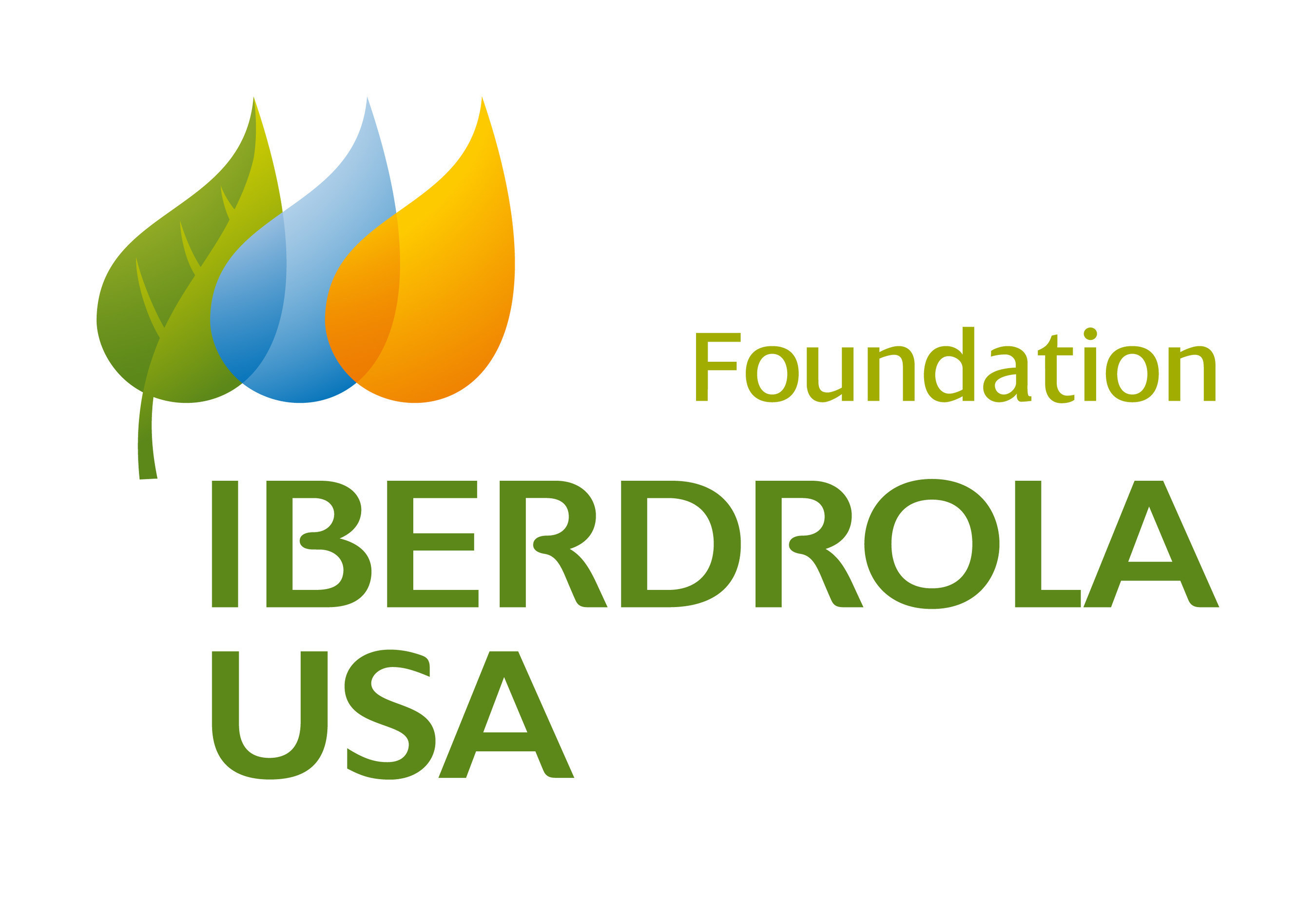 Iberdrola USA Foundation Logo
