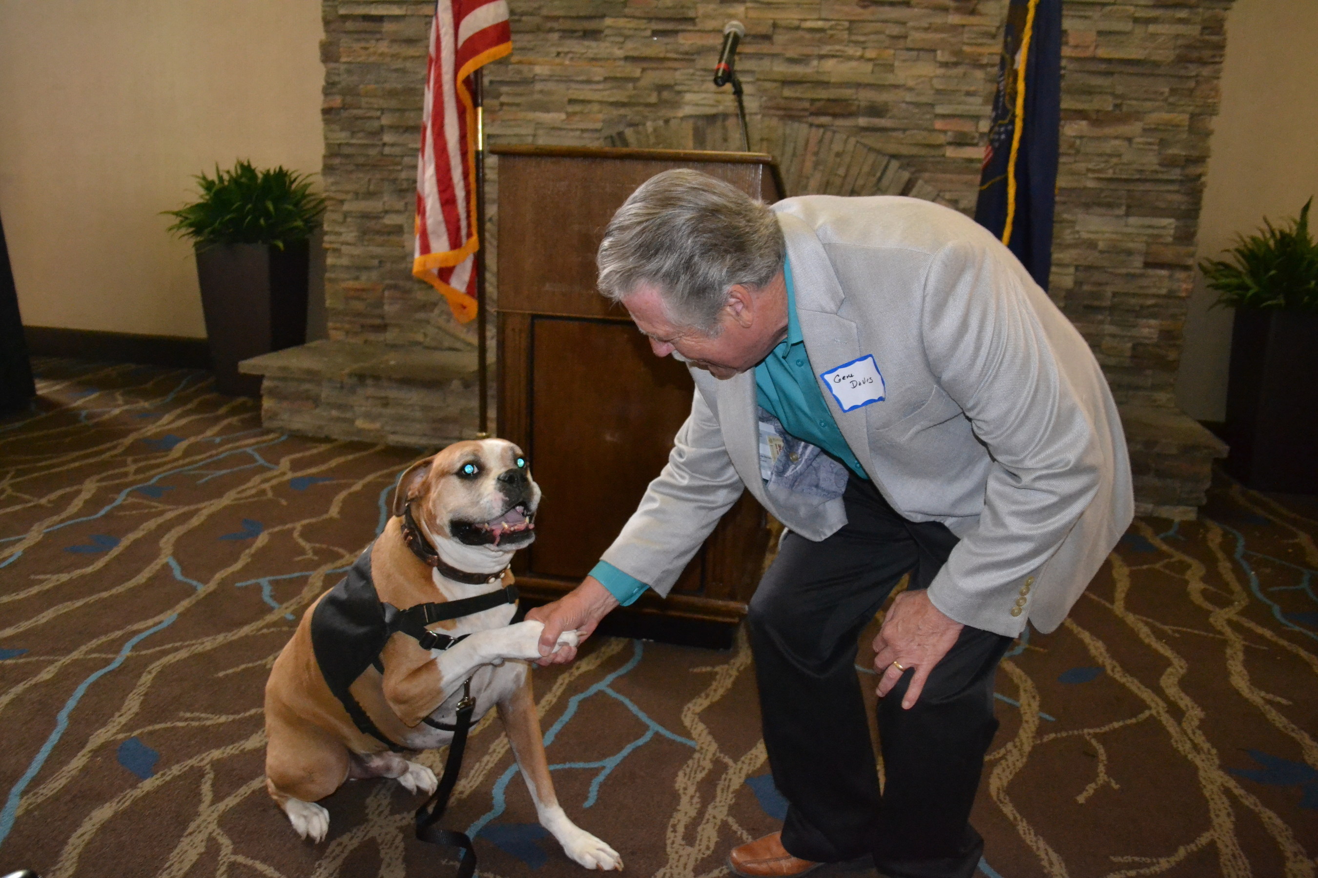 Tex, pictured here making a "pawshake agreement" with Utah Senate Minority Leader Gene Davis while on the campaign trail last month, will be inaugurated as Canine Mayor of Salt Lake County during a council meeting Tuesday evening, Nov. 25.