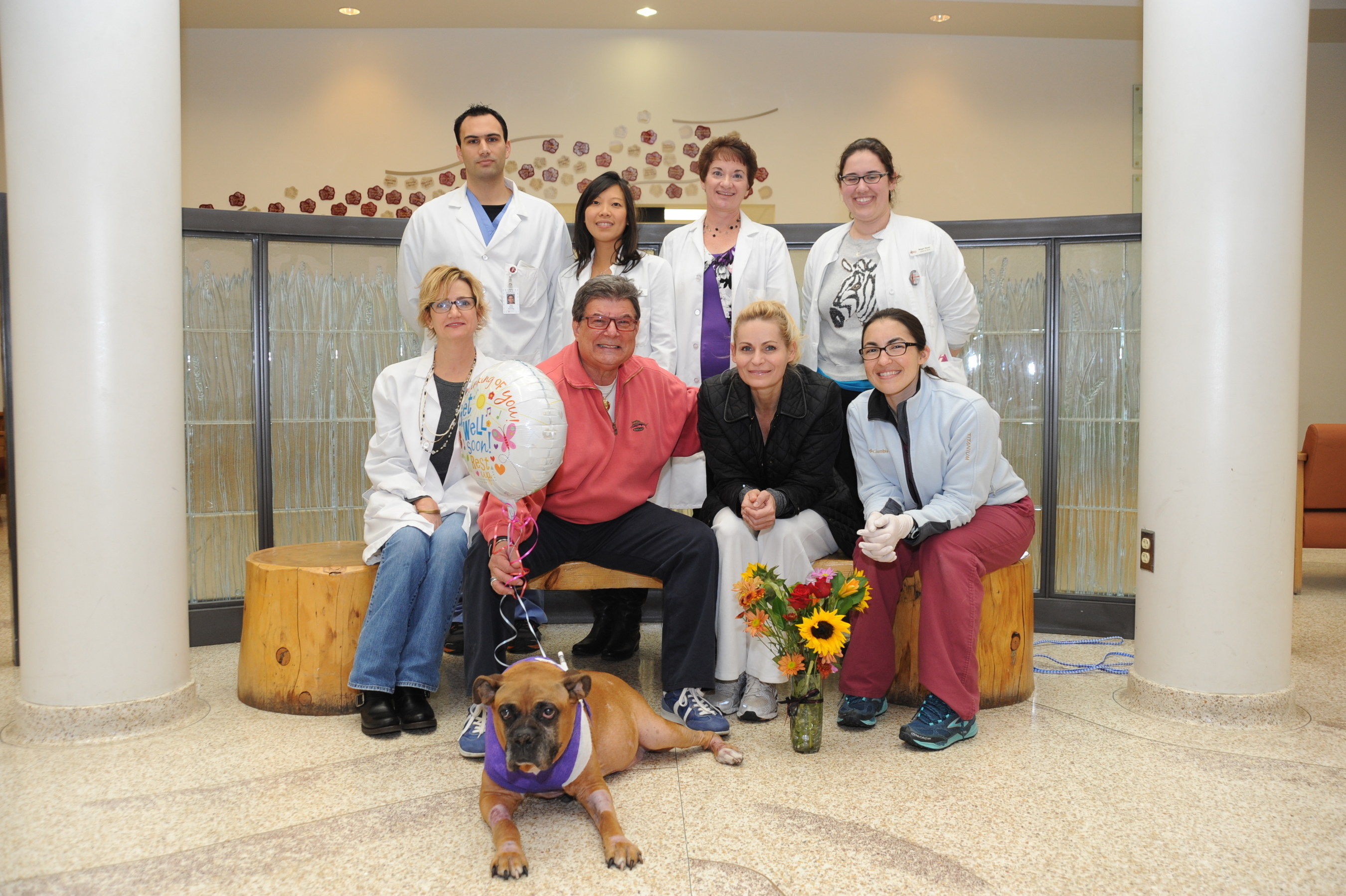 The Washington State University College of Veterinary Medicine Pituitary Team poses for a photo with Boxer Anna, her guardian Sundays Hunt and American Dog Rescue Founder Arthur E. Benjamin  Front Row: Anna (First TSH patient at WSU) Second Row (From left to right): Tina Owen, Arthur Benjamin, Sundays Hunt, Abby Thomson (4th year veterinary student) Third Row (From left to right): Tom Jukier (Neurology intern), Annie Chen-Allen, Linda Martin, Megan Bauer (4th year veterinary student)