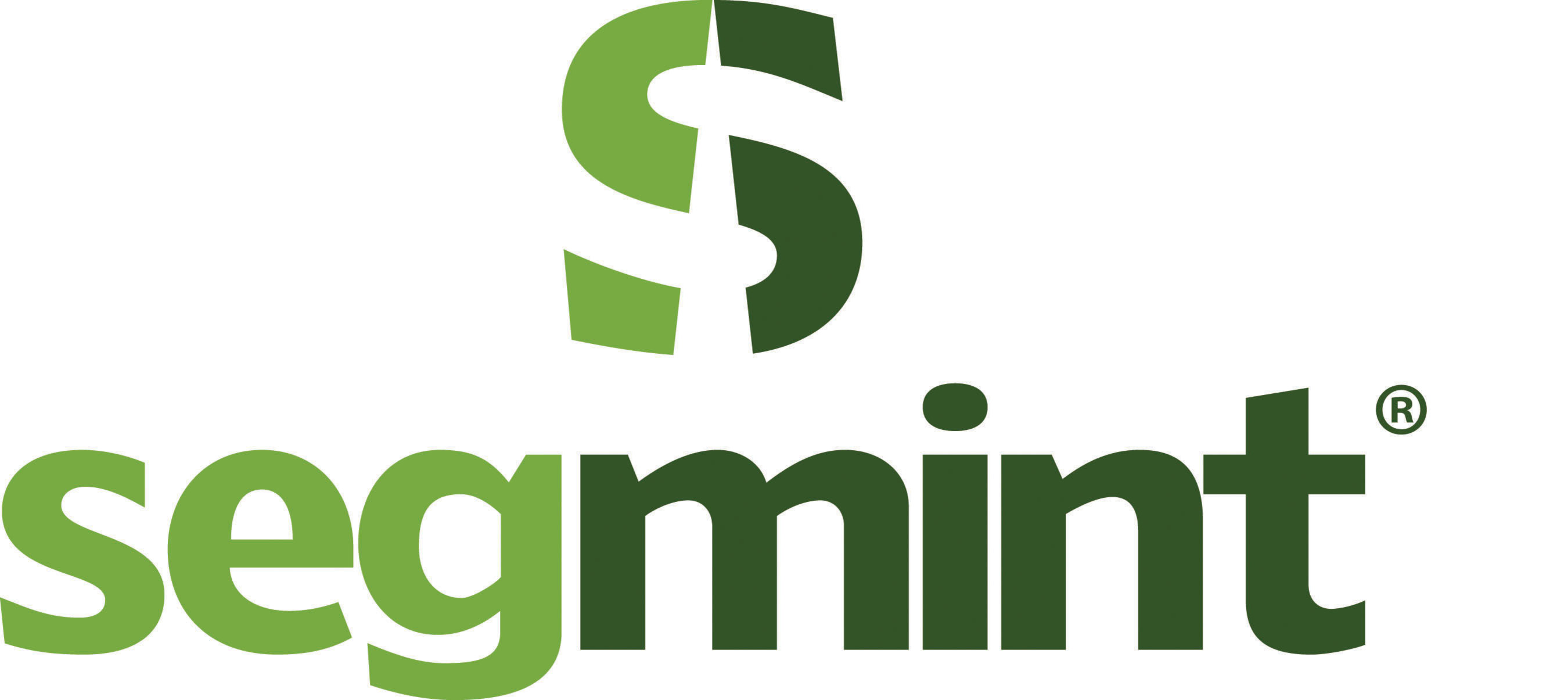 Segmint logo