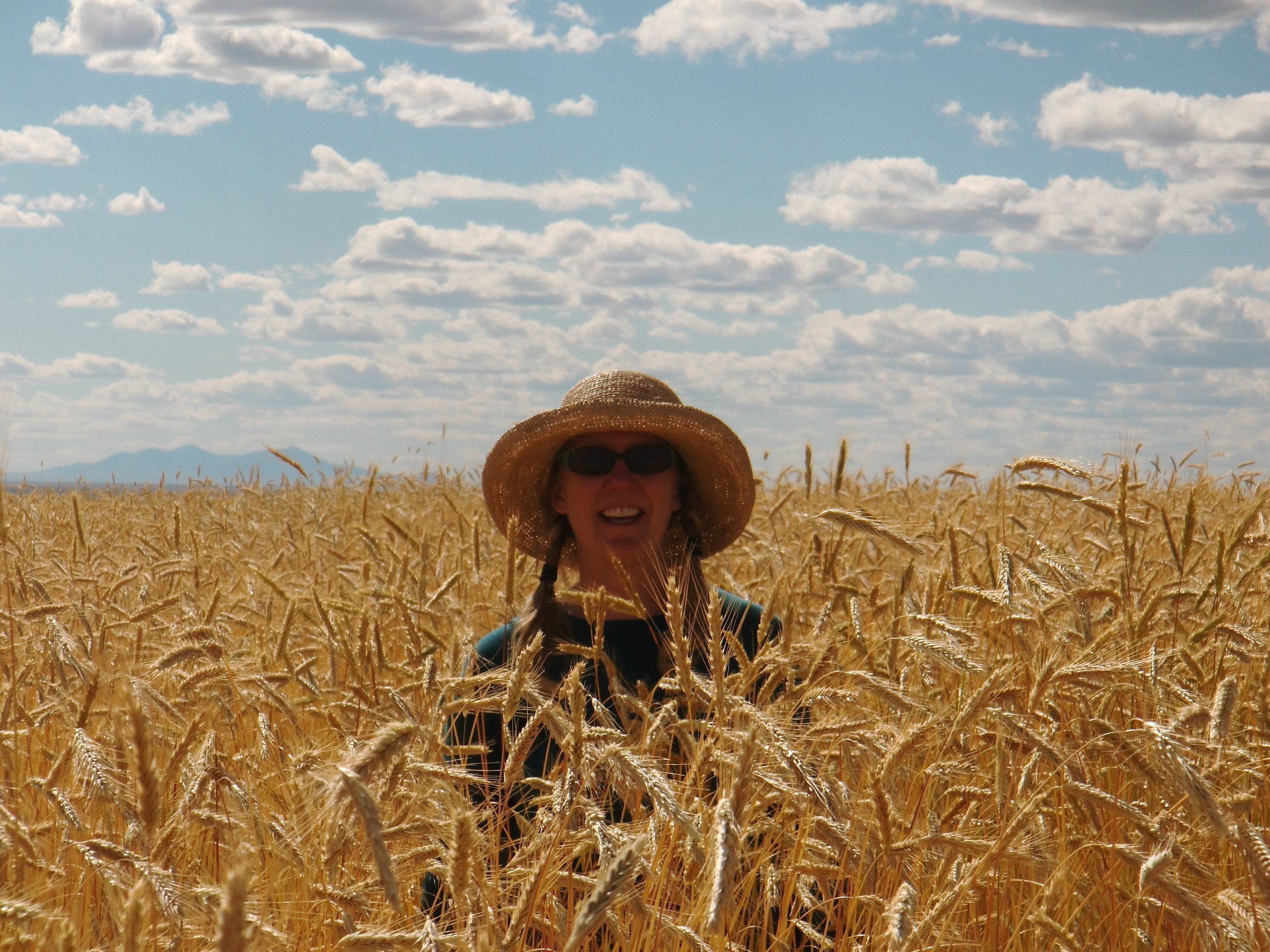 Anna Jones-Crabtree, Montana Organic Association member who introduced the motion to join FAC, stands neck-high in a field of organic grain in Montana