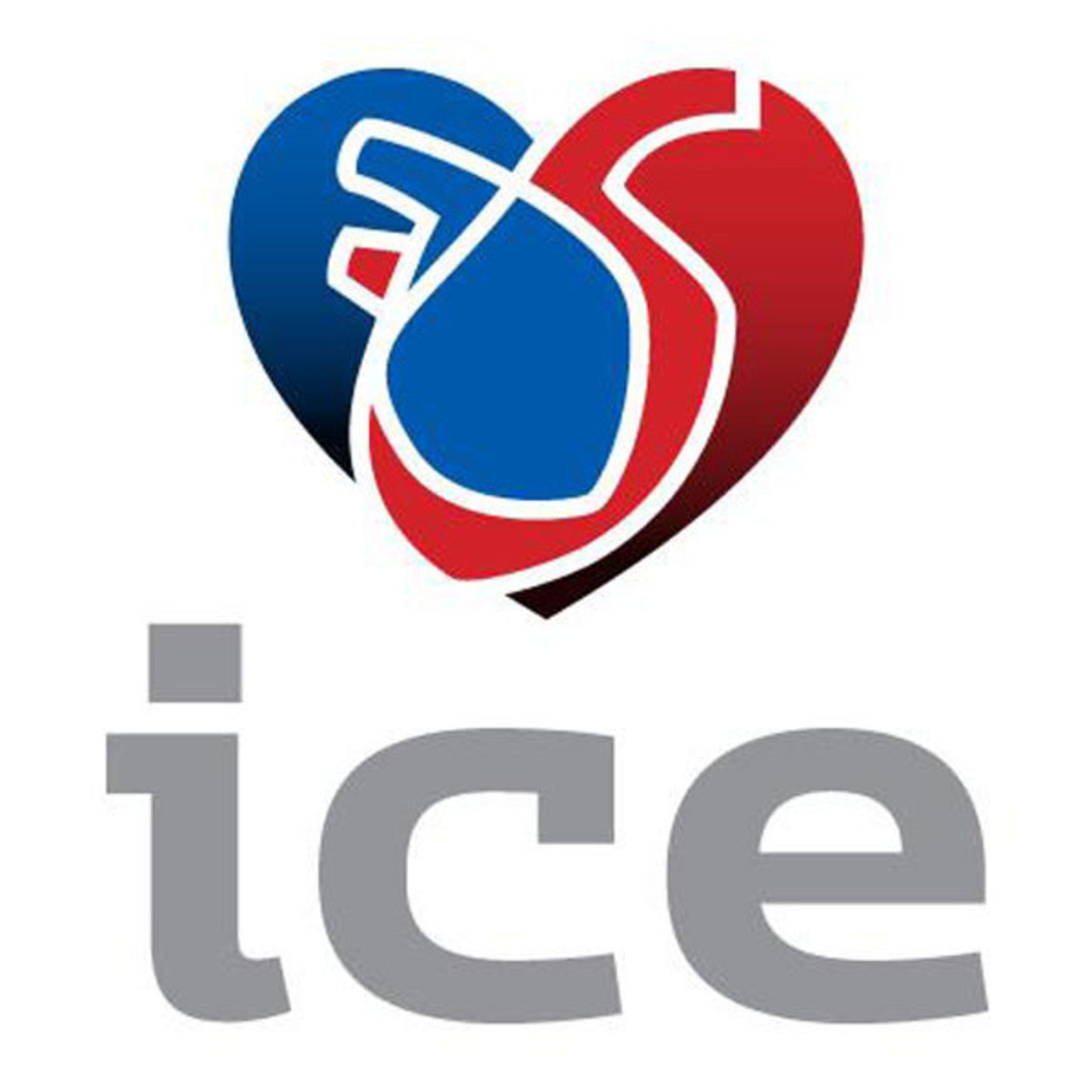 ICE Logo.