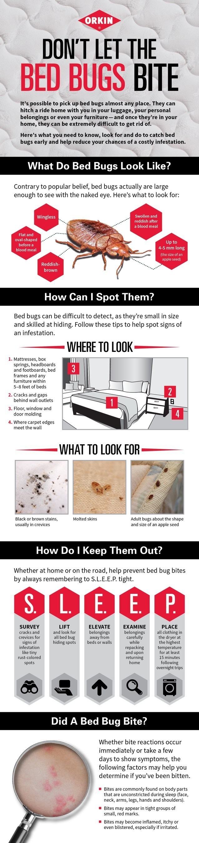 Don't let the bed bugs bite! Bed bugs are great hitchhikers and can make their way onto you or your belongings. Once in your home, bed bugs can be difficult to get rid of. Here are some tips to help you identify and prevent bed bugs from coming into your home.