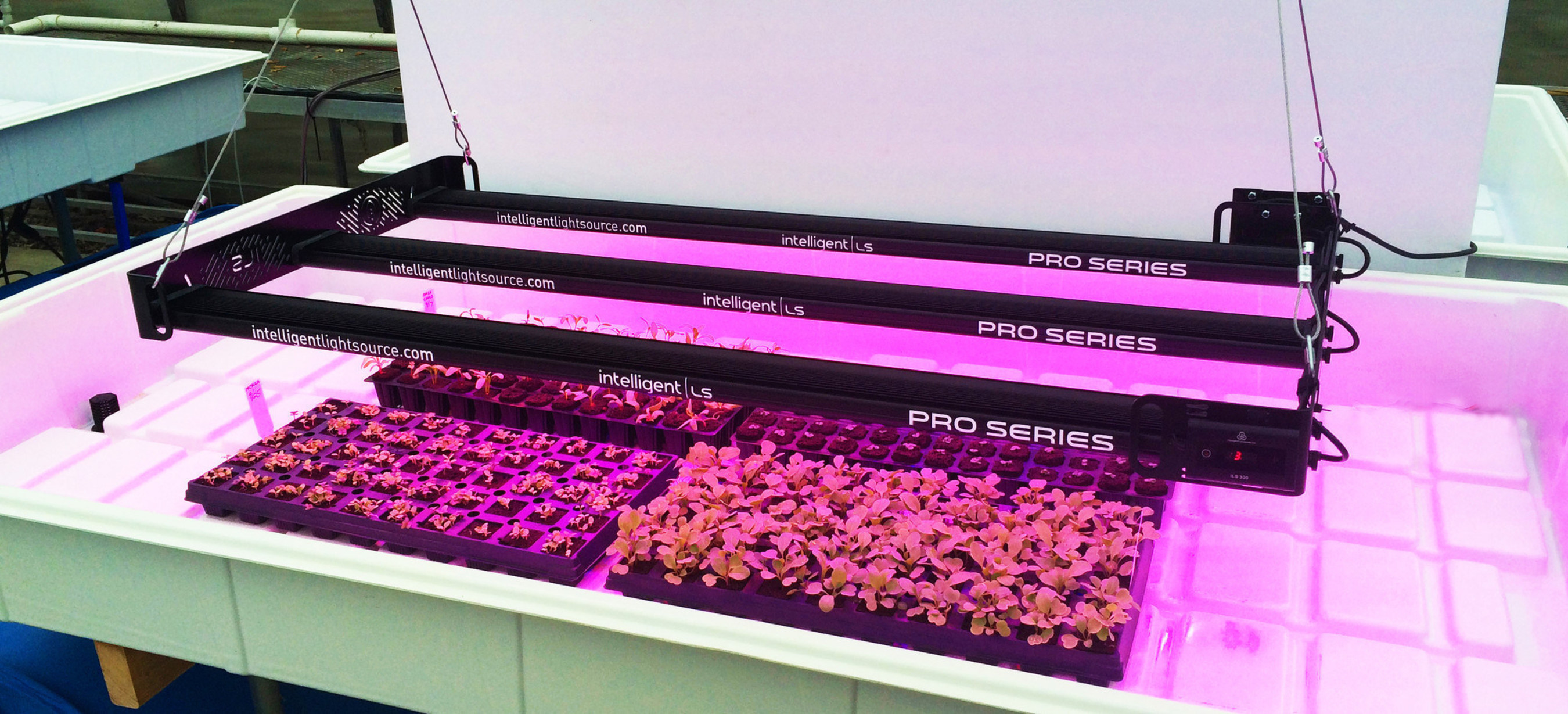 ILS is positioned to become a leader in the indoor grow light industry projected to reach $3.6 B by 2020