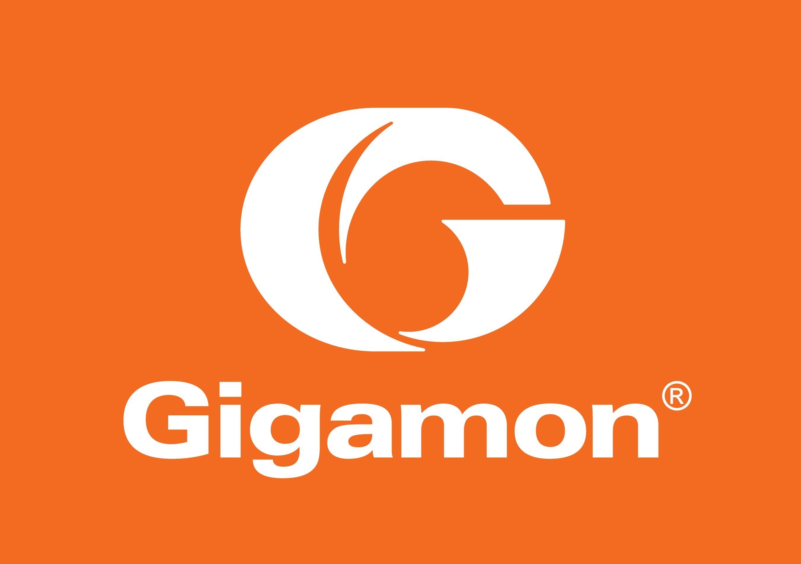Gigamon logo (PRNewsFoto/Gigamon)