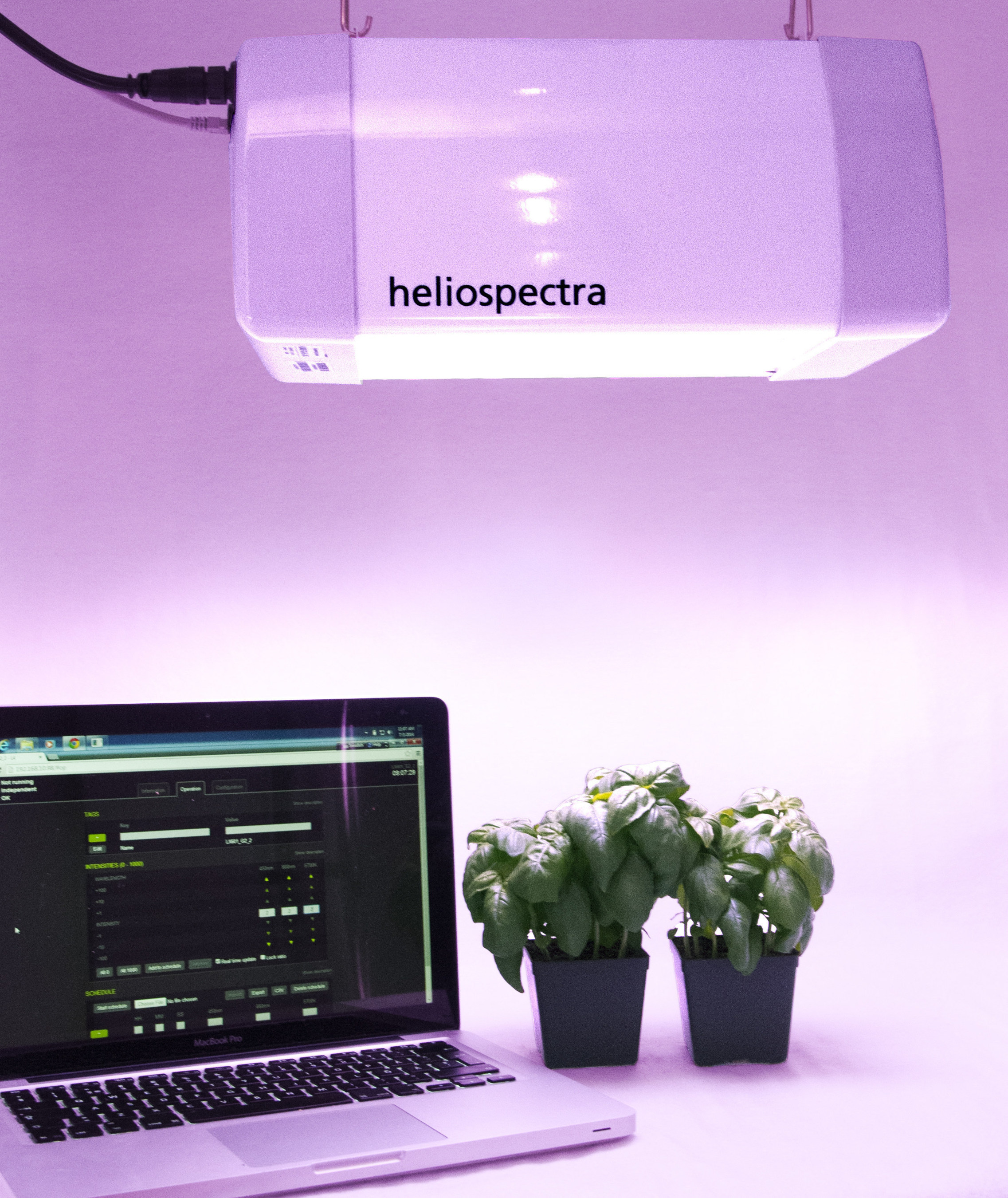Heliospectra LED grow light system controlled via web interface optimizing plant growth to save up to 50% energy and growing better tasting, longer lasting plants