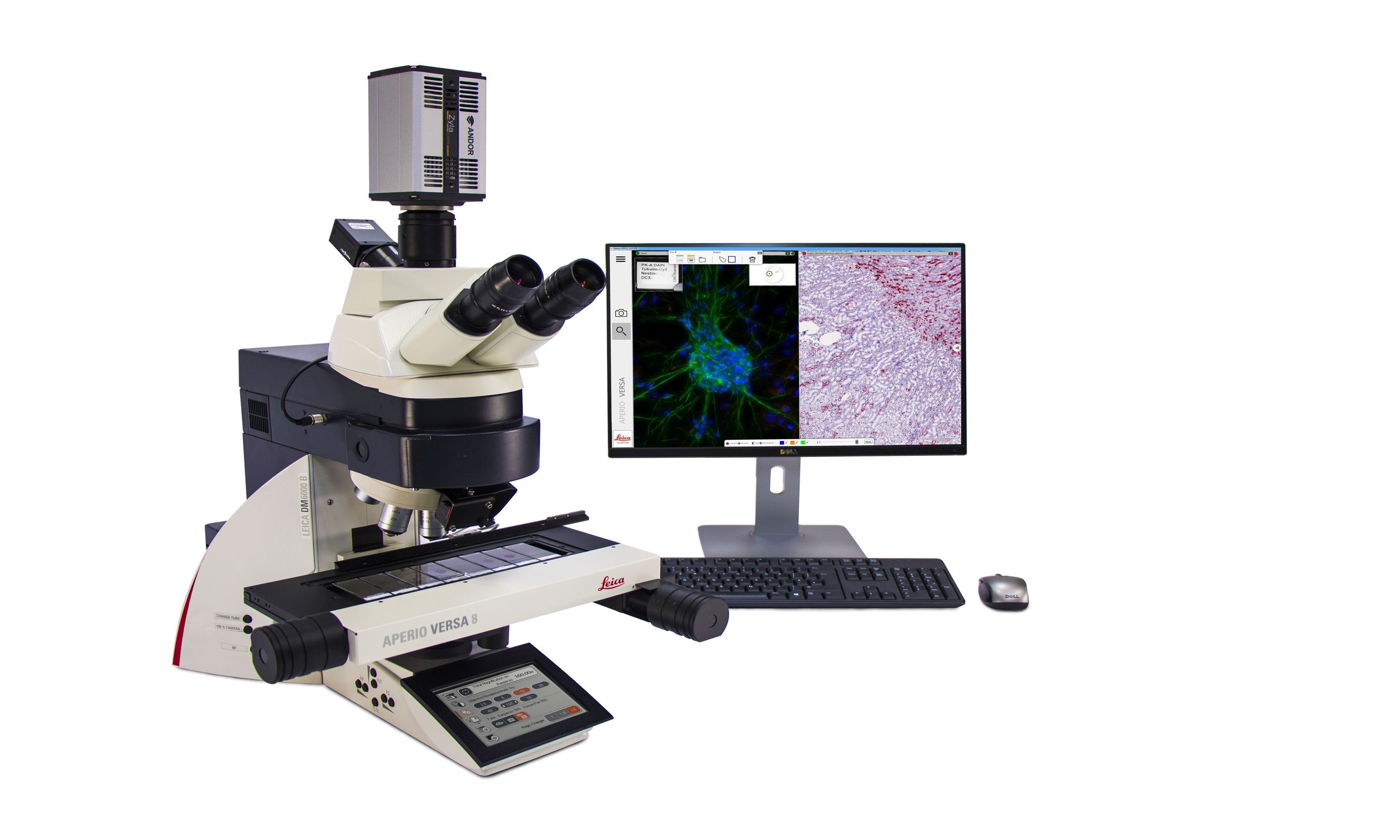 Leica Biosystems announces the introduction of the Aperio VERSA, a combination digital pathology research scanner for brightfield, fluorescence and FISH imaging at the American Association for Cancer Research (AACR) annual meeting in Philadelphia, opening April 18 and running until April 22, 2015. (PRNewsFoto/Leica Biosystems)