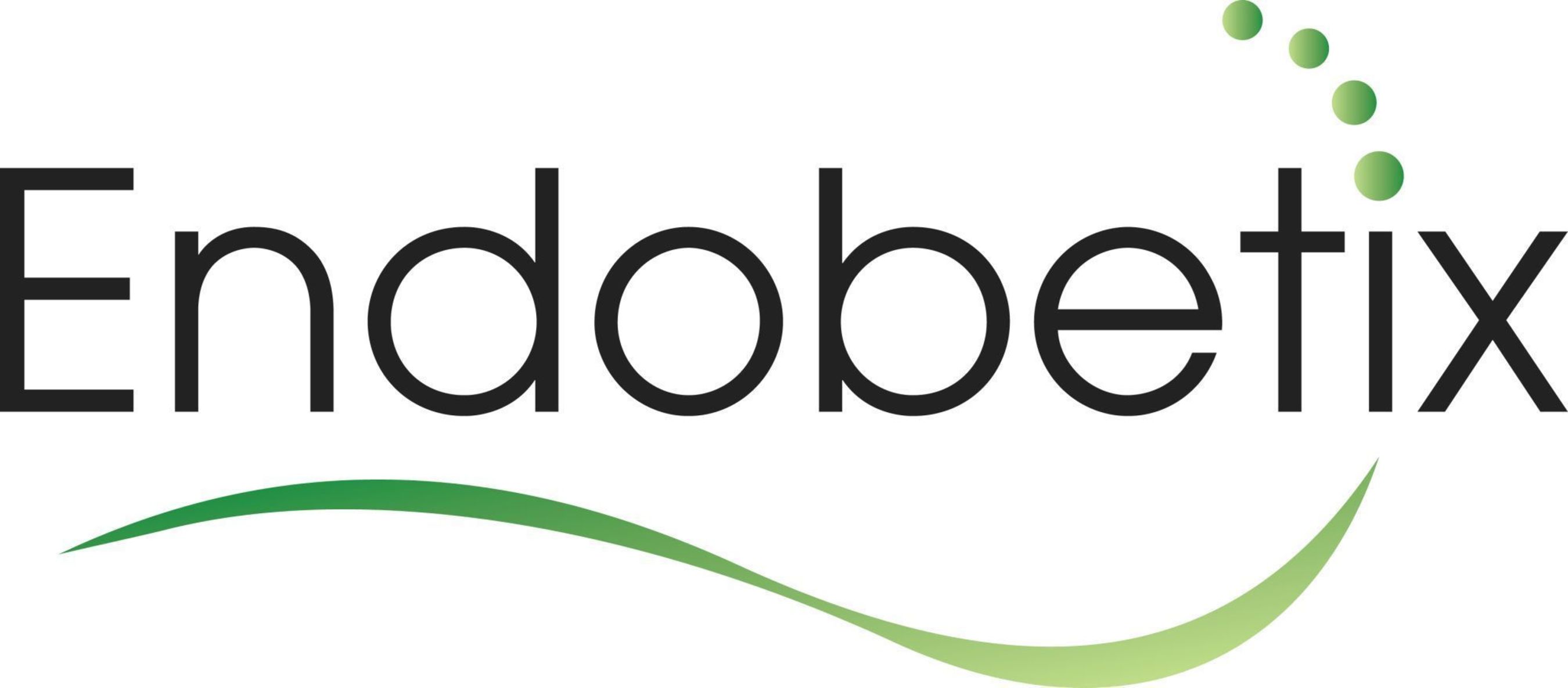 Endobetix Logo (PRNewsFoto/Endobetix Ltd.)