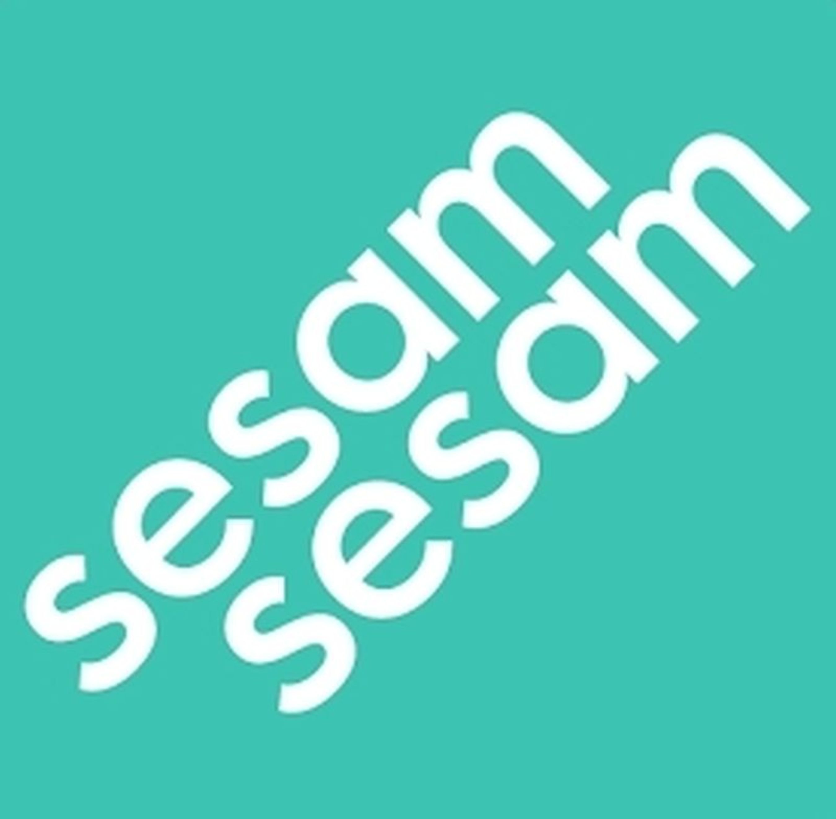 Sesam Sesam - Automagical parking (PRNewsFoto/BT Signaal)