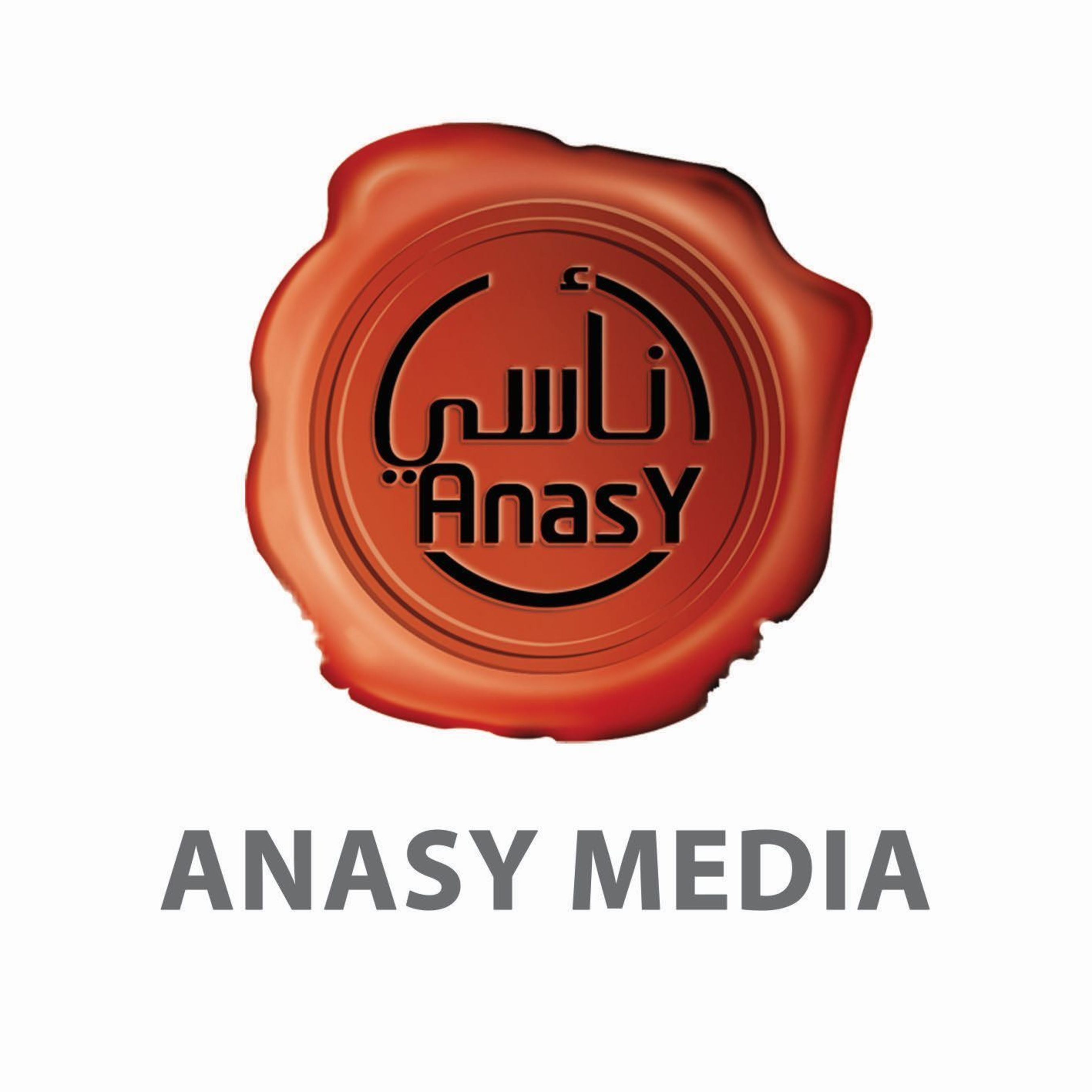 Anasy Media Logo (PRNewsFoto/Anasy Media)