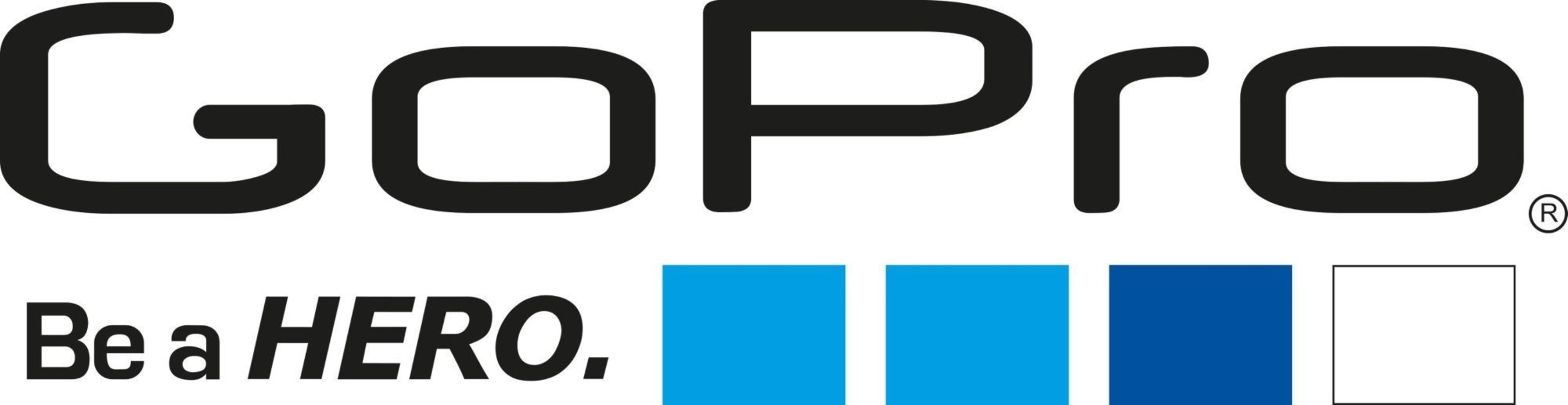 GoPro Logo (PRNewsFoto/Al Boom Marine) (PRNewsFoto/Al Boom Marine)