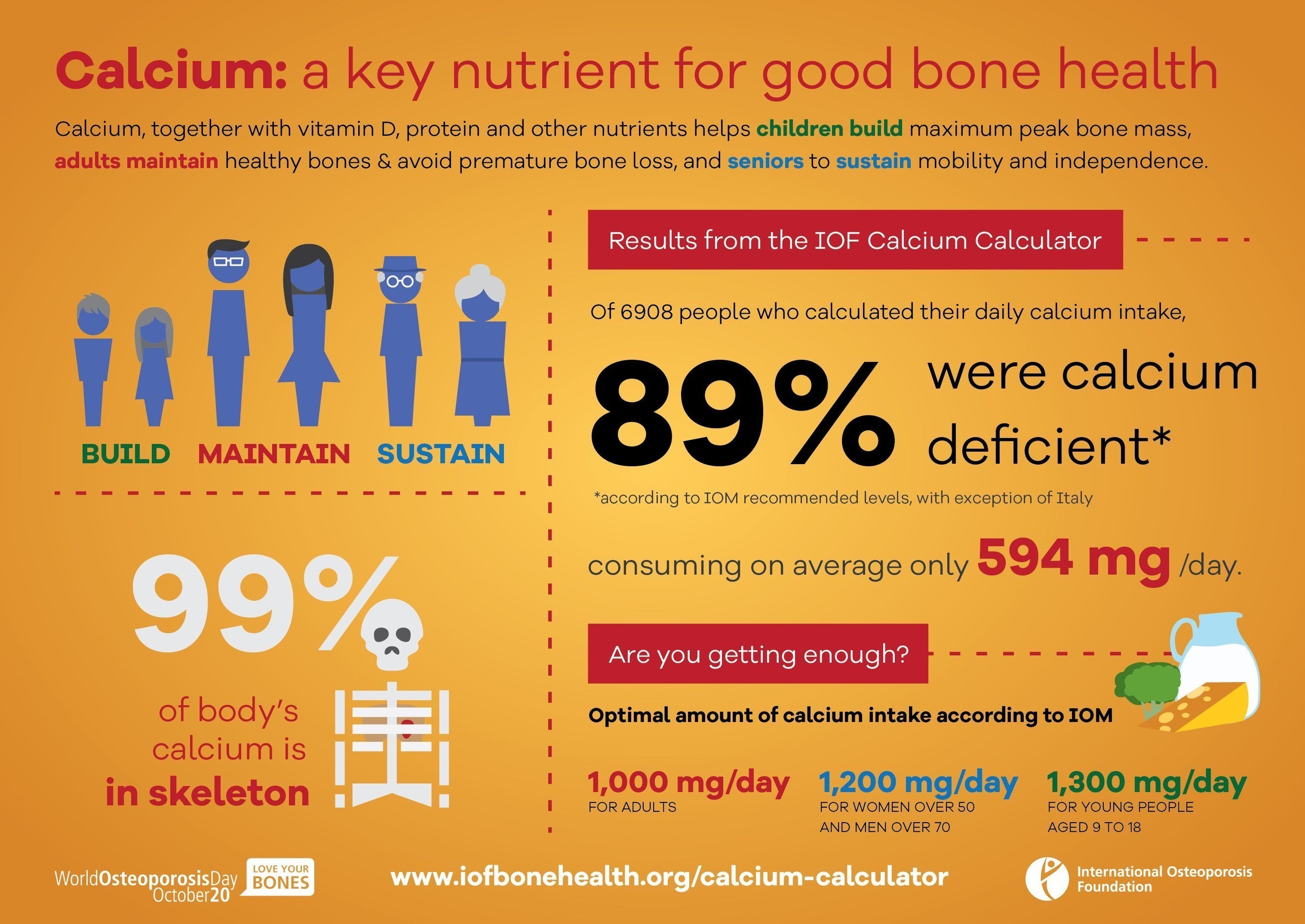 The International Osteoporosis Foundation (IOF) is concerned that people may not be getting enough calcium to maintain optimum bone health. As shown on this infographic, 89% of those who used the new IOF Calcium Calculator to assess their dietary calcium intake were found to be deficient in this important mineral. The calculator, available at  www.iobonehealth.org or as an APP, helps people calculate their approximate daily calcium intake based on their typical weekly diet. (PRNewsFoto/IOF) (PRNewsFoto/IOF)