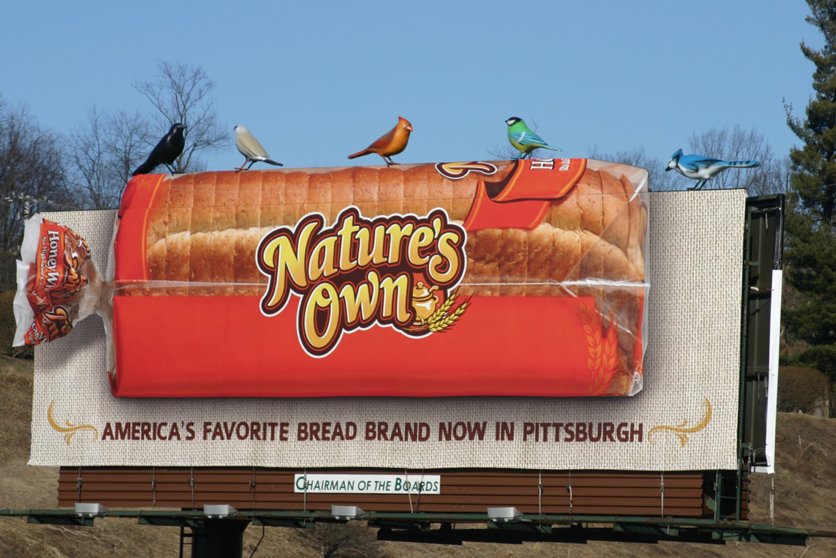 Scout's out-of-home campaign for the Nature's Own bread brand features three-foot high birds perched atop Nature's Own billboards, giving passersby a reason to look. . .and look again.