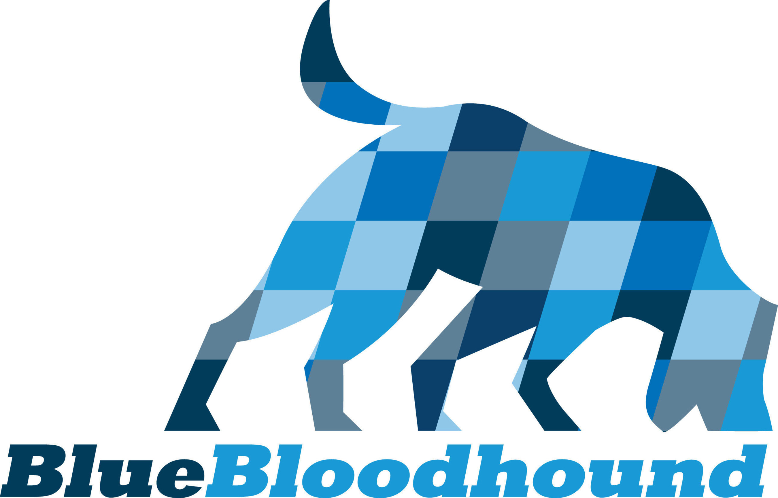 Blue Bloodhound is revolutionizing the trucking industry through its new, online marketplace by connecting qualified truck drivers in need of extra work, with motor carriers posting immediate pay-by-the-run local and long-haul jobs throughout the United States.