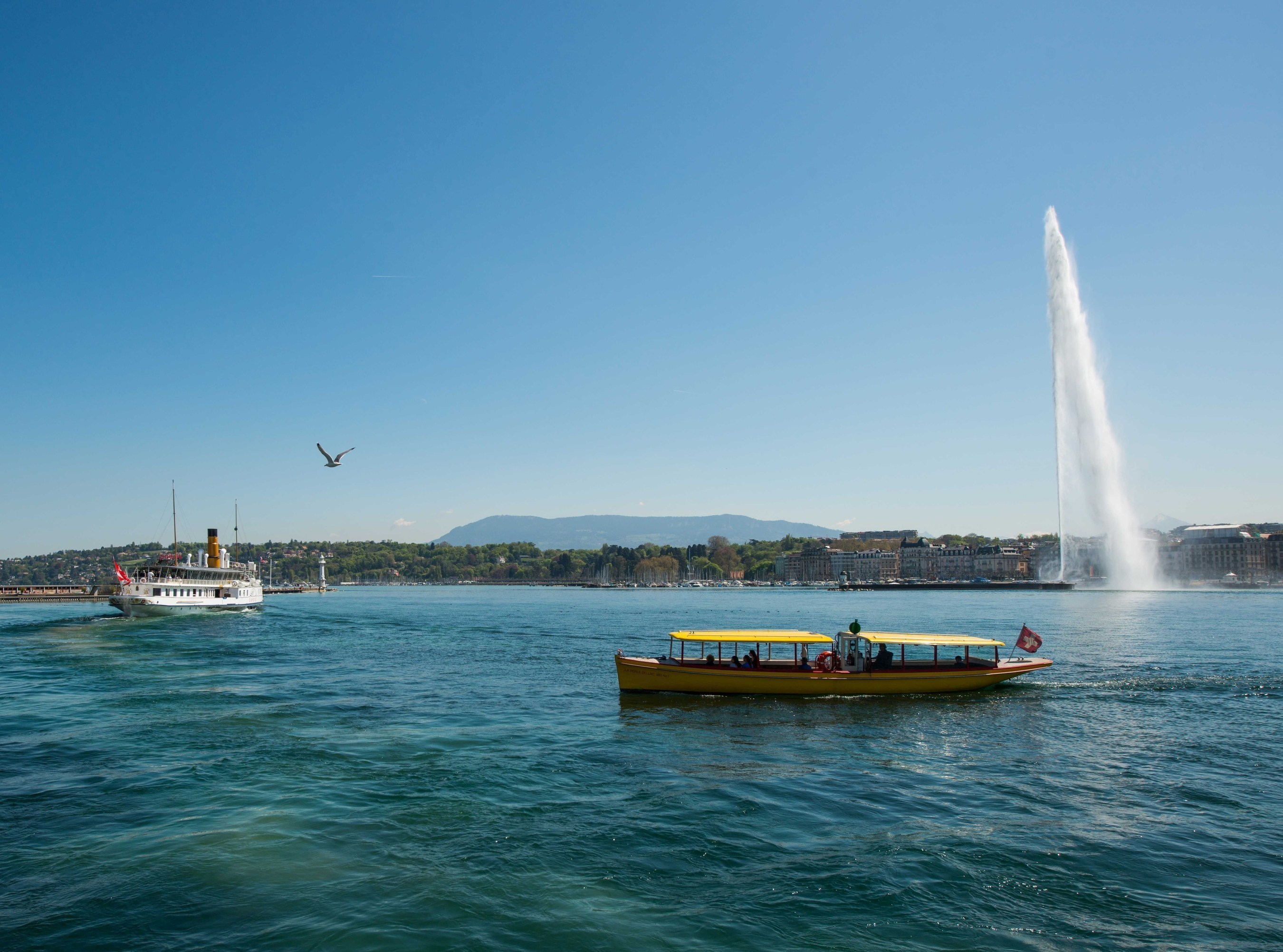 The famous Jet d'Eau, iconic landmark of Lake Geneva offering a peaceful panorama on the city