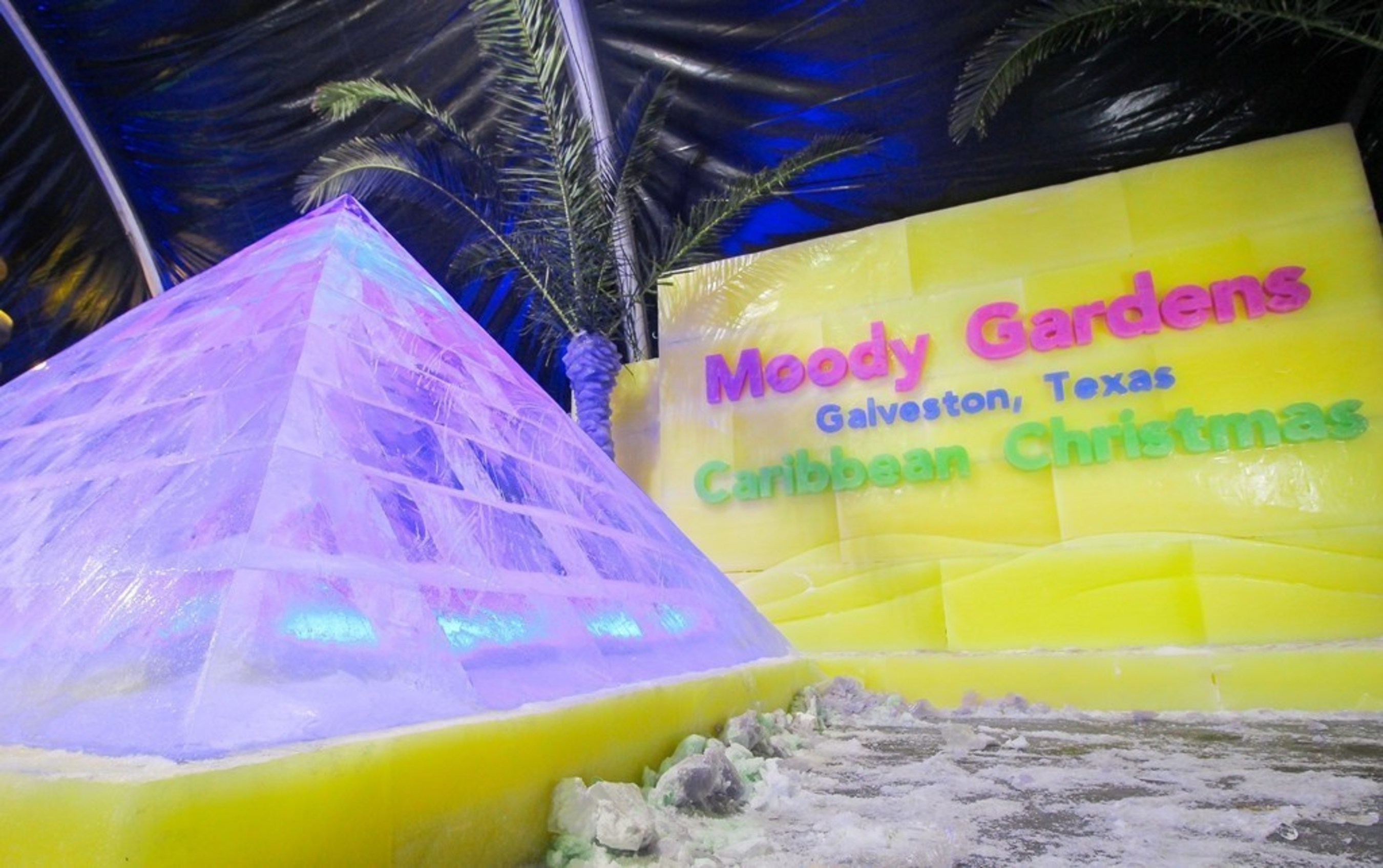 A team of ice carvers from Harbin, China is carving 2 million lbs. of ice as Moody Gardens prepares to open "ICE LAND: Ice Sculptures" with a Caribbean Christmas theme for the holiday season November 12 - January 8.
