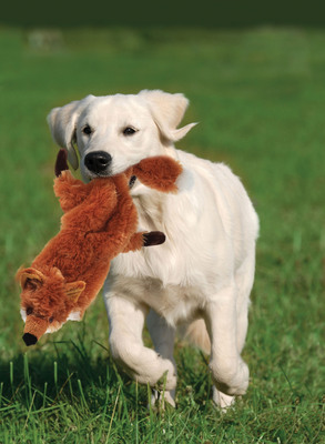 Stuffing-Free Dog Toy Perfect for Dogs of All Sizes