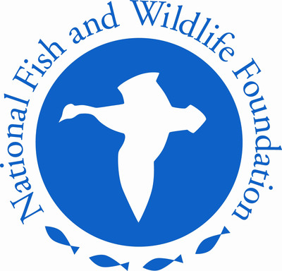 National Fish and Wildlife Foundation Announces New Grants in Gulf