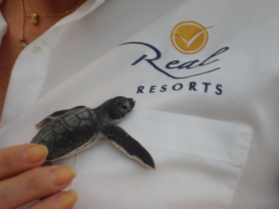 Turtles &amp; Tourists: A Record Summer for Both at THE ROYAL in Cancun &amp; Gran Caribe Real Cancun
