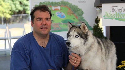Georgia Dog Owner Wins Dream Dog Park Contest